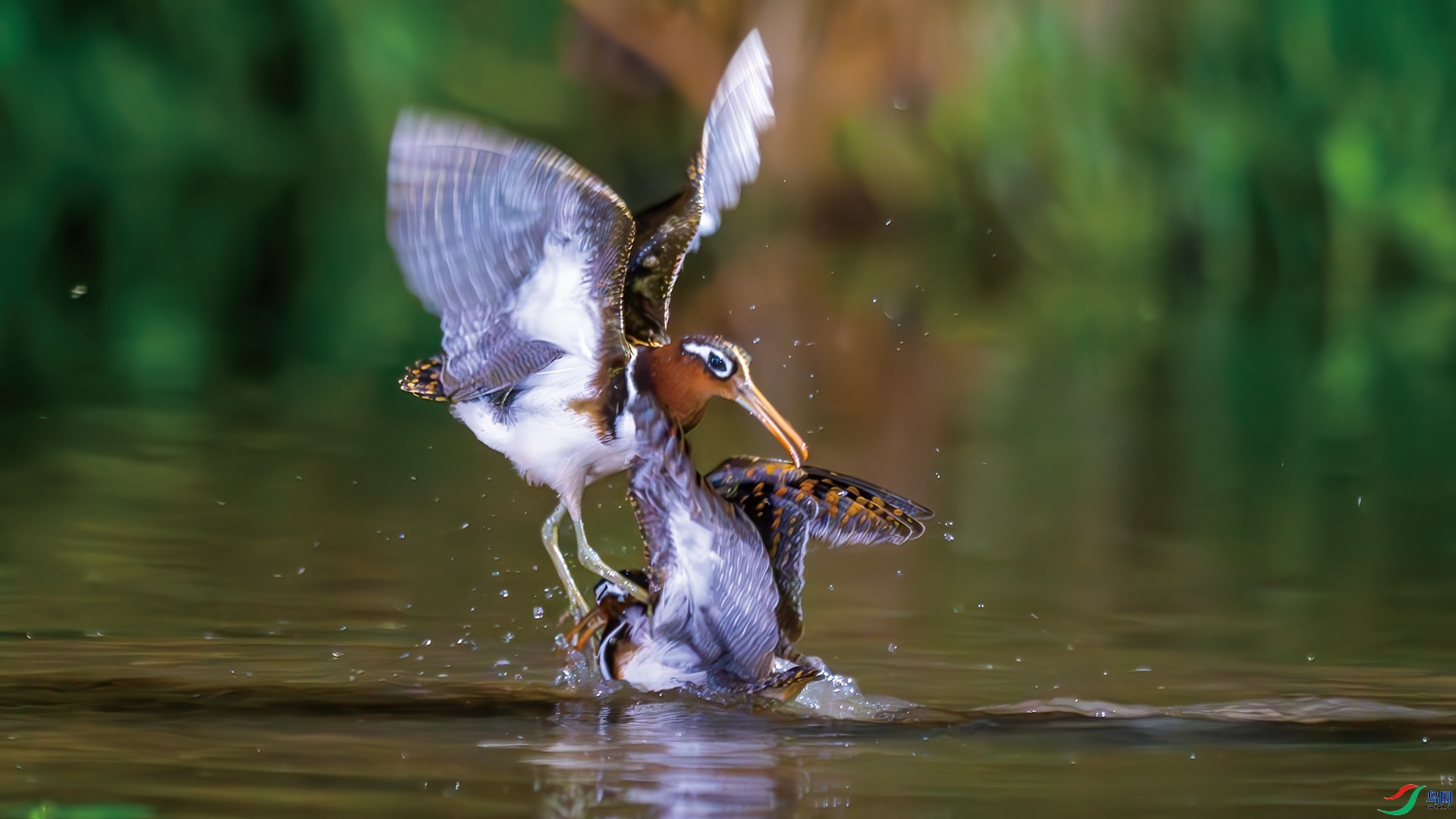 �������� ���� ��ѧ�� ����.jpg