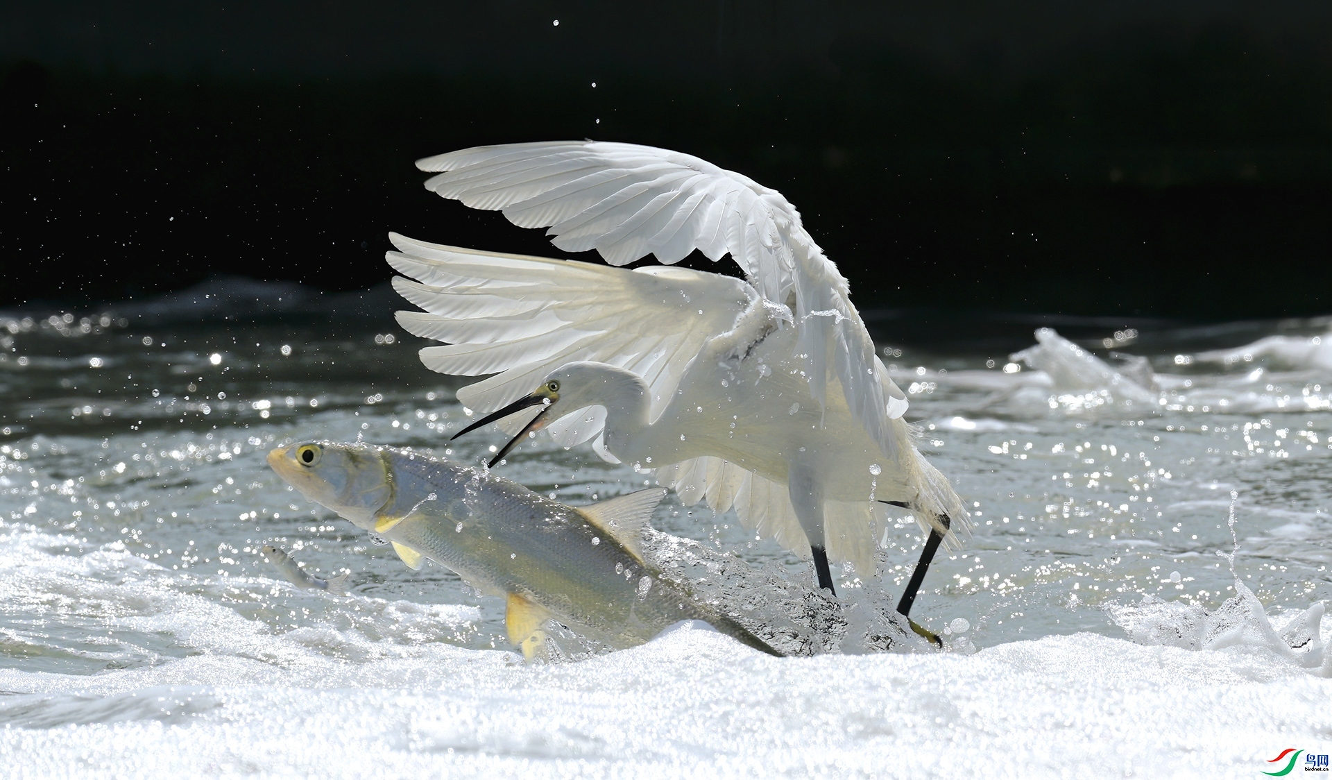 ���غ���  ���� �������� ����.jpg