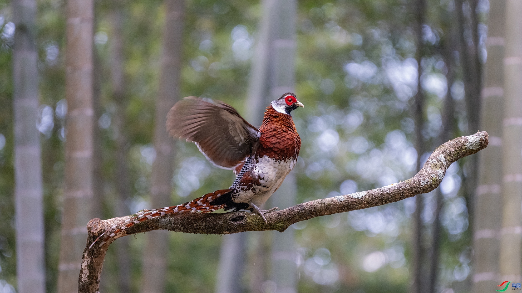 �þò��� ���� ��ɽ����  ����.jpg