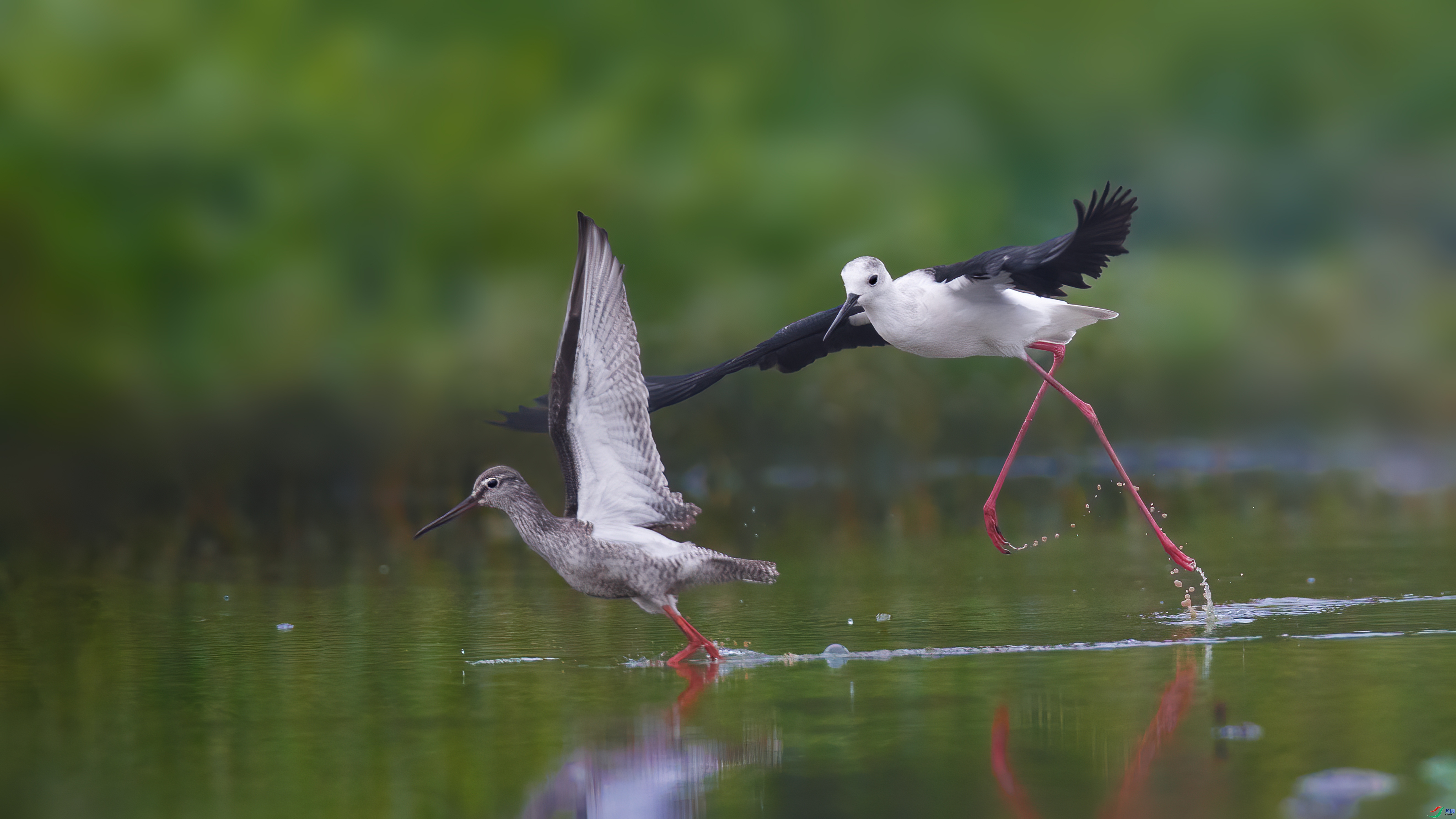 �Դ���С ���� С���� ����.jpg