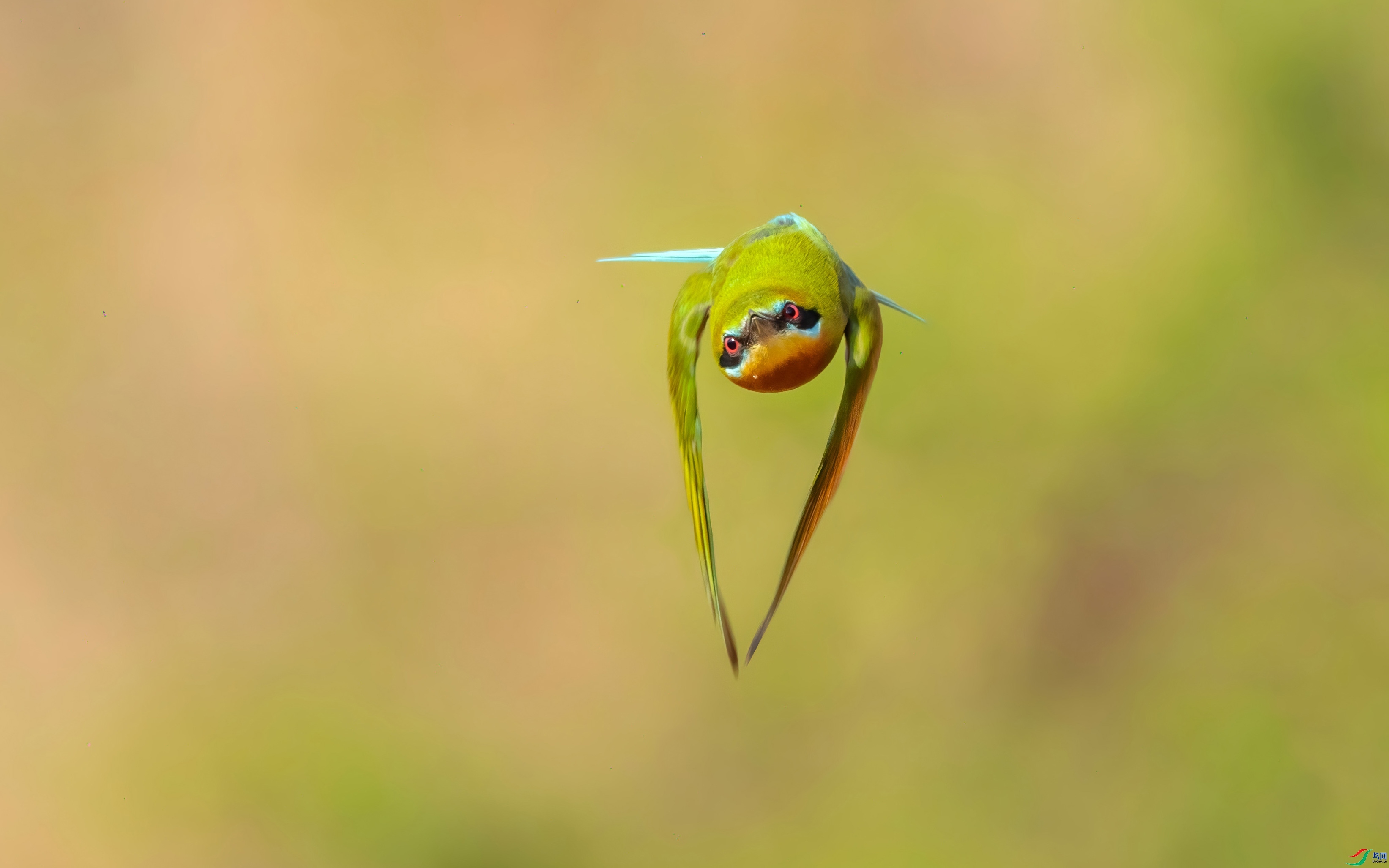 �趯 ���� �ɶ��Ͻ� ����.jpg