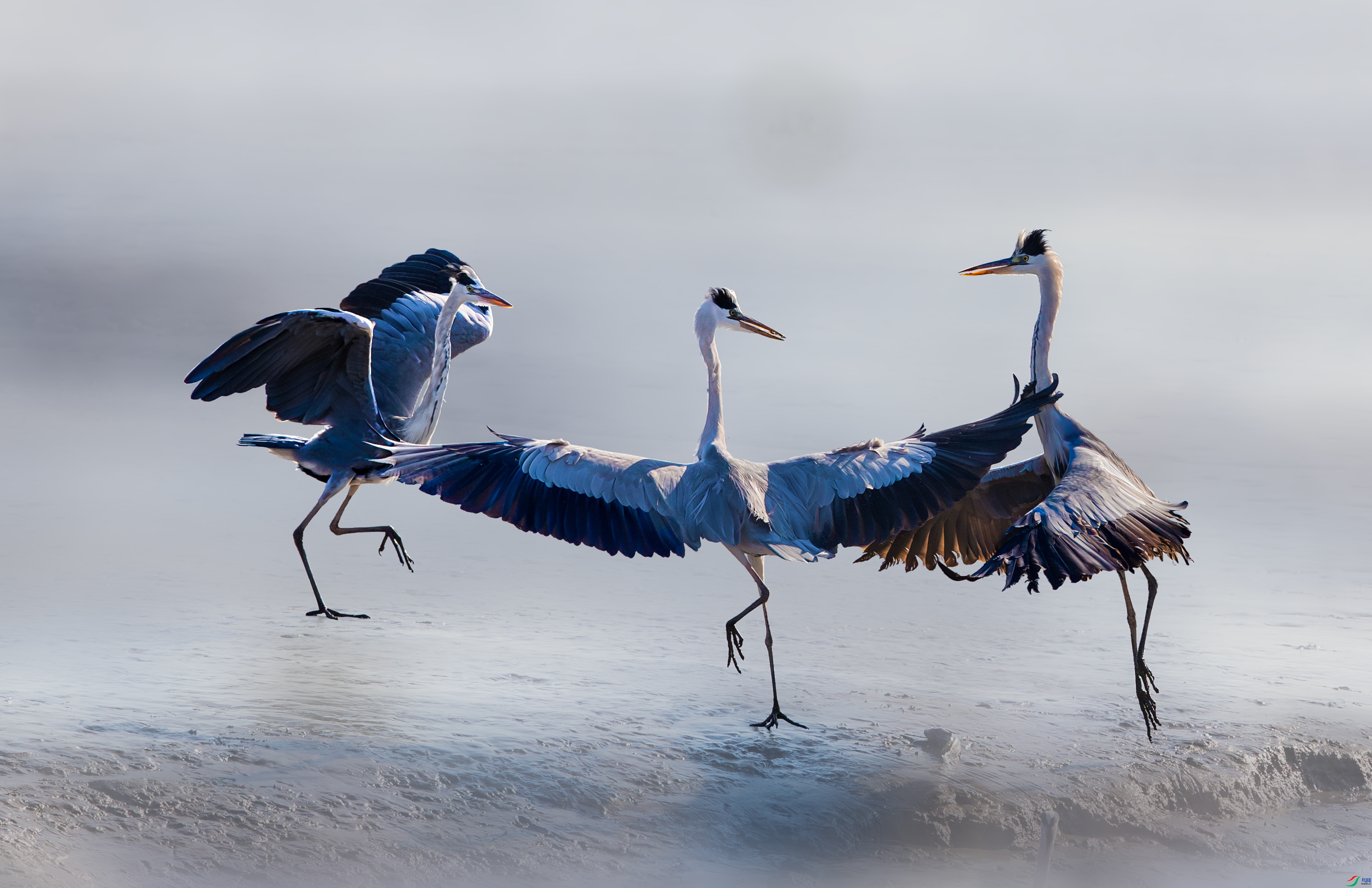 ��������  ���� ���� ����.jpg