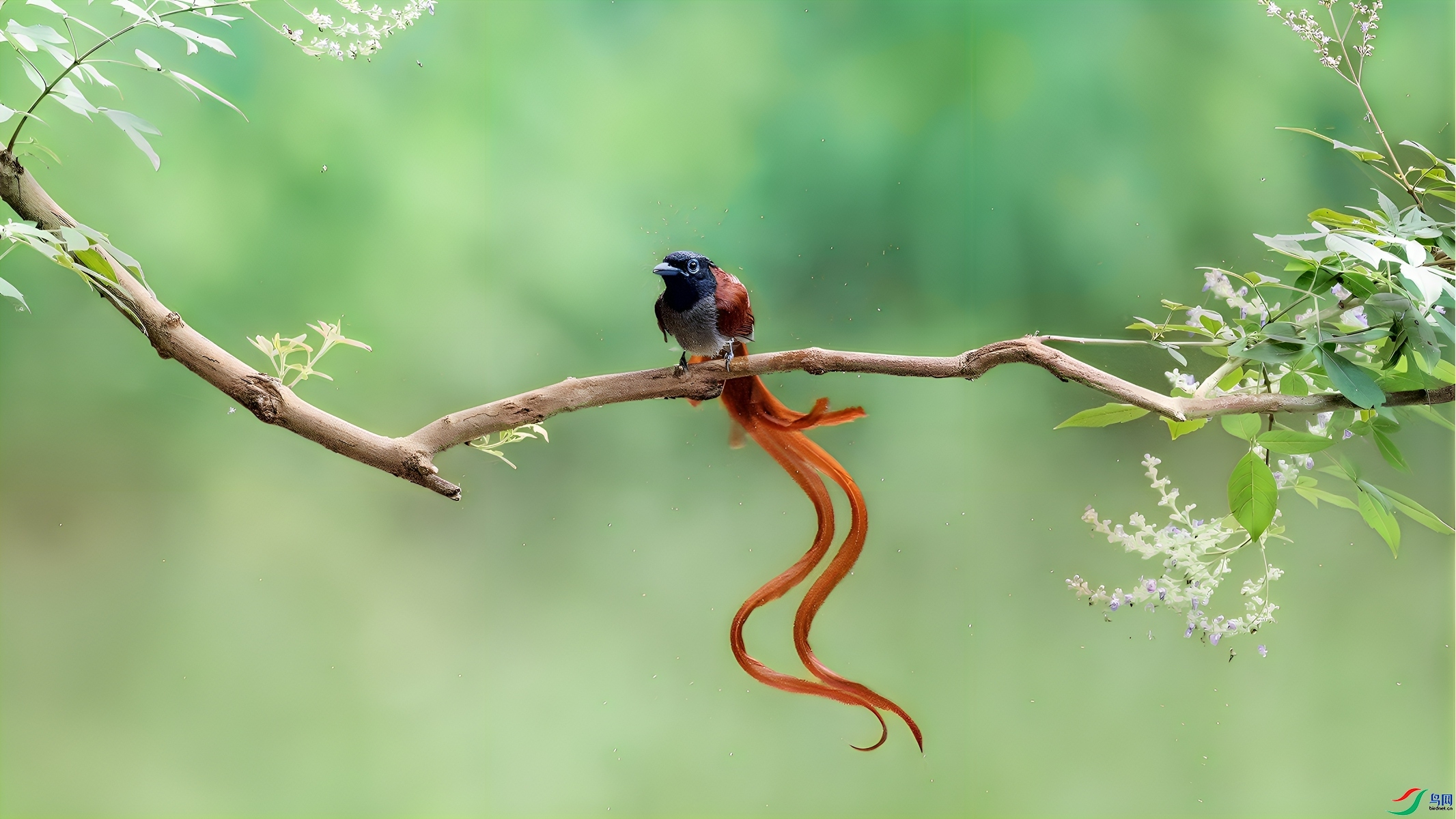 ��������  ����ֵ-��  ����.jpg