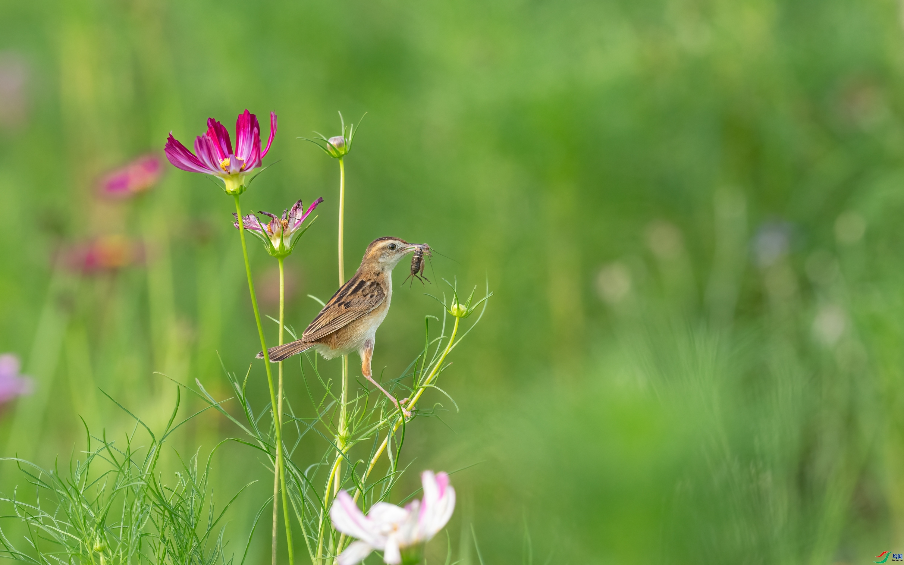 ����βݺ  ���� ���� ����.jpg