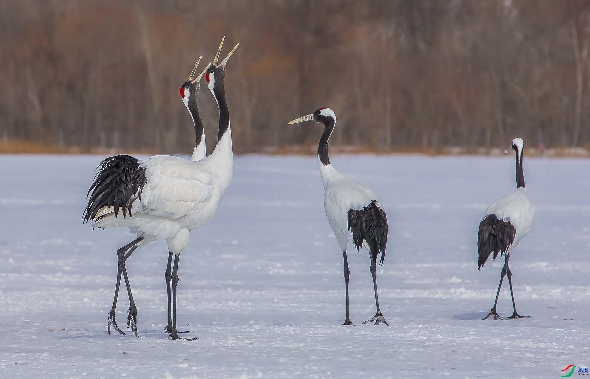 �߸� ���� �羰��   ����.jpg