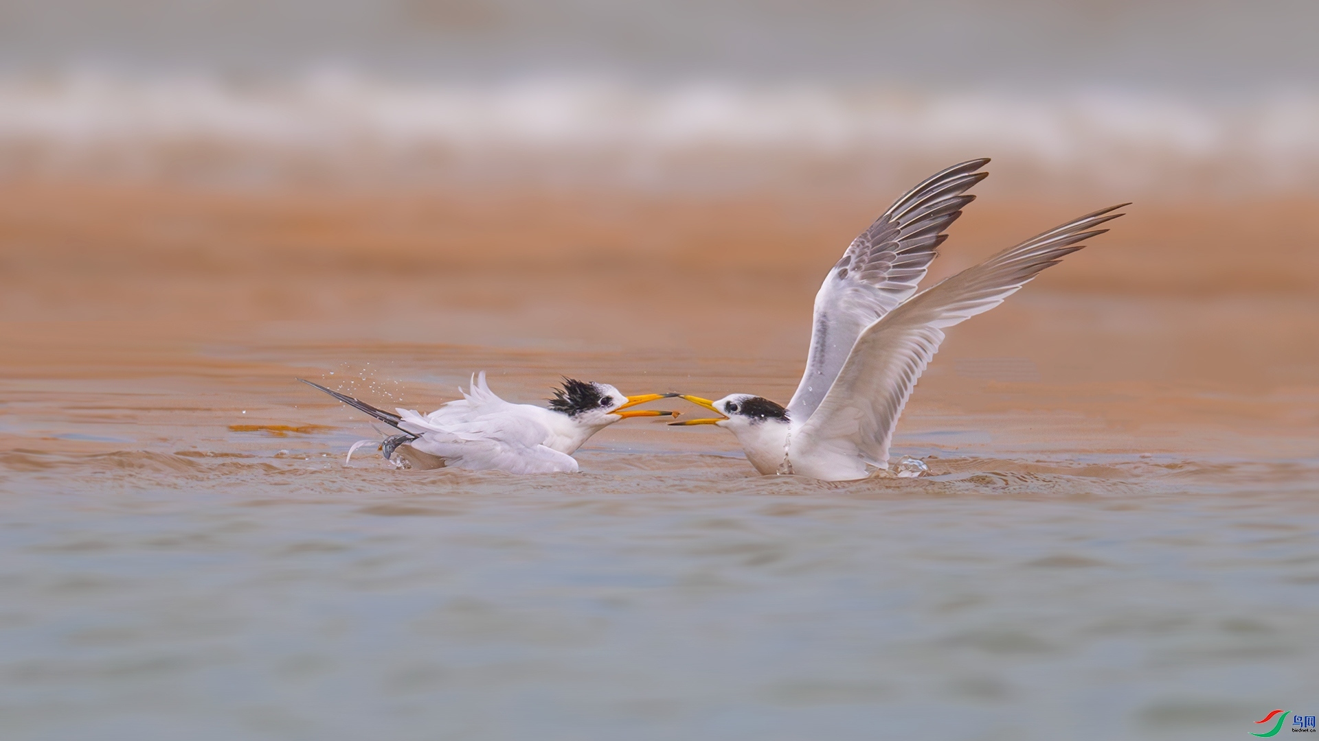 ���ݰ� ���� ��ѧ�� ����.jpg