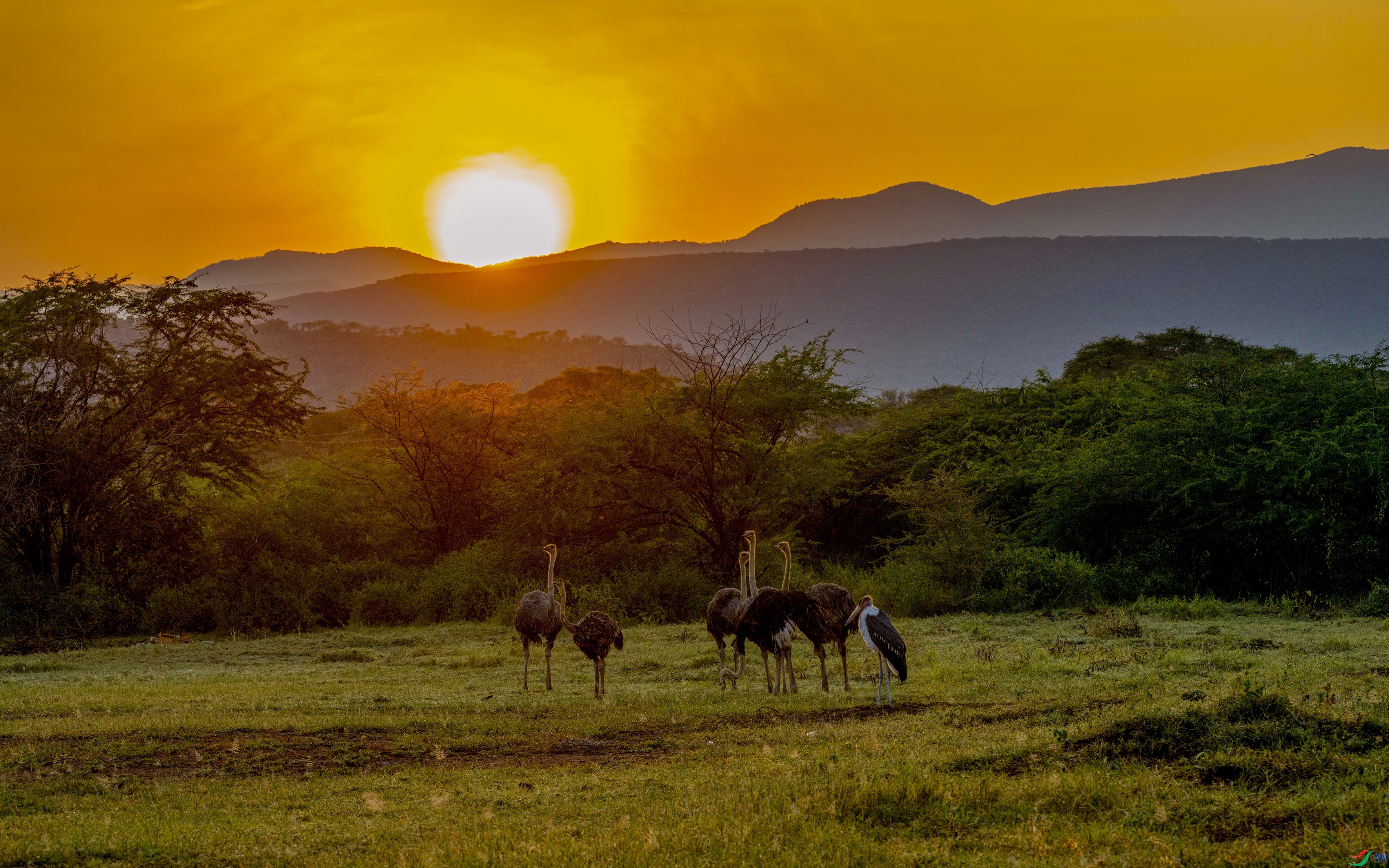 �����ǵ��糿 ���� ����֮�� ����.jpg