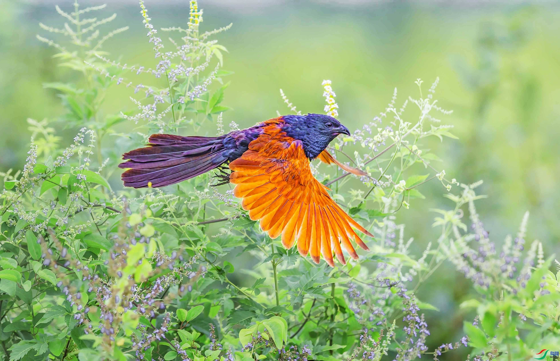 С�ž�  ���� �ܸ� ����.jpg