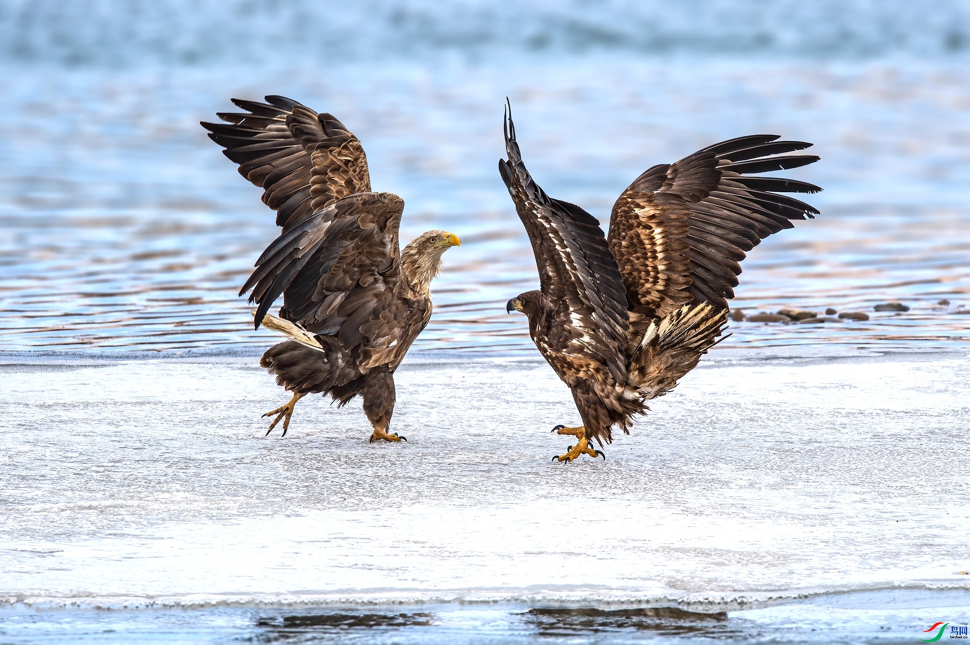 ���� ���� ������ ����.jpg