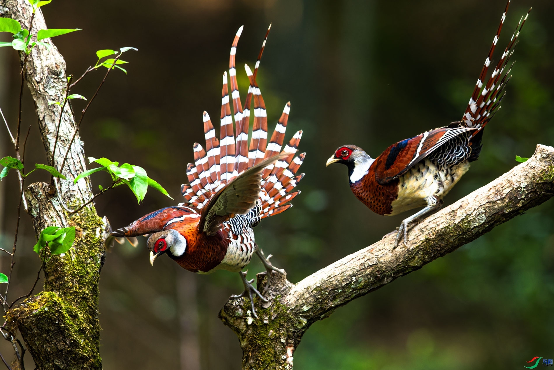 ���� ���� ɽɽɽ ����.jpg