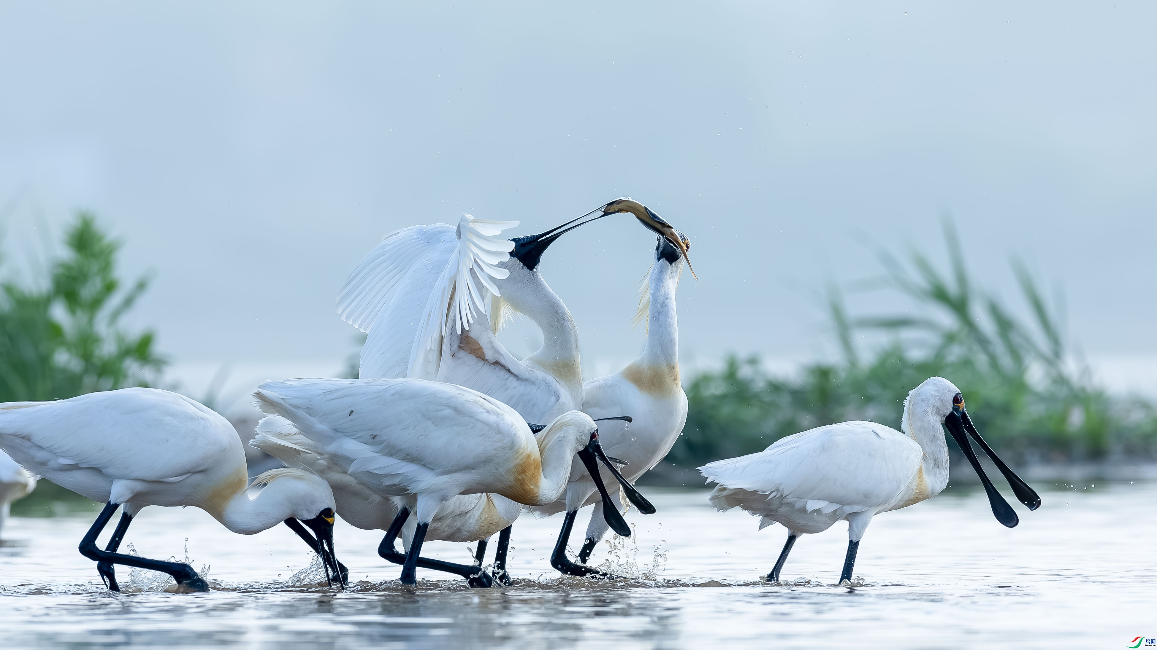 ���� ���� ɳ���Խ� ����.jpg