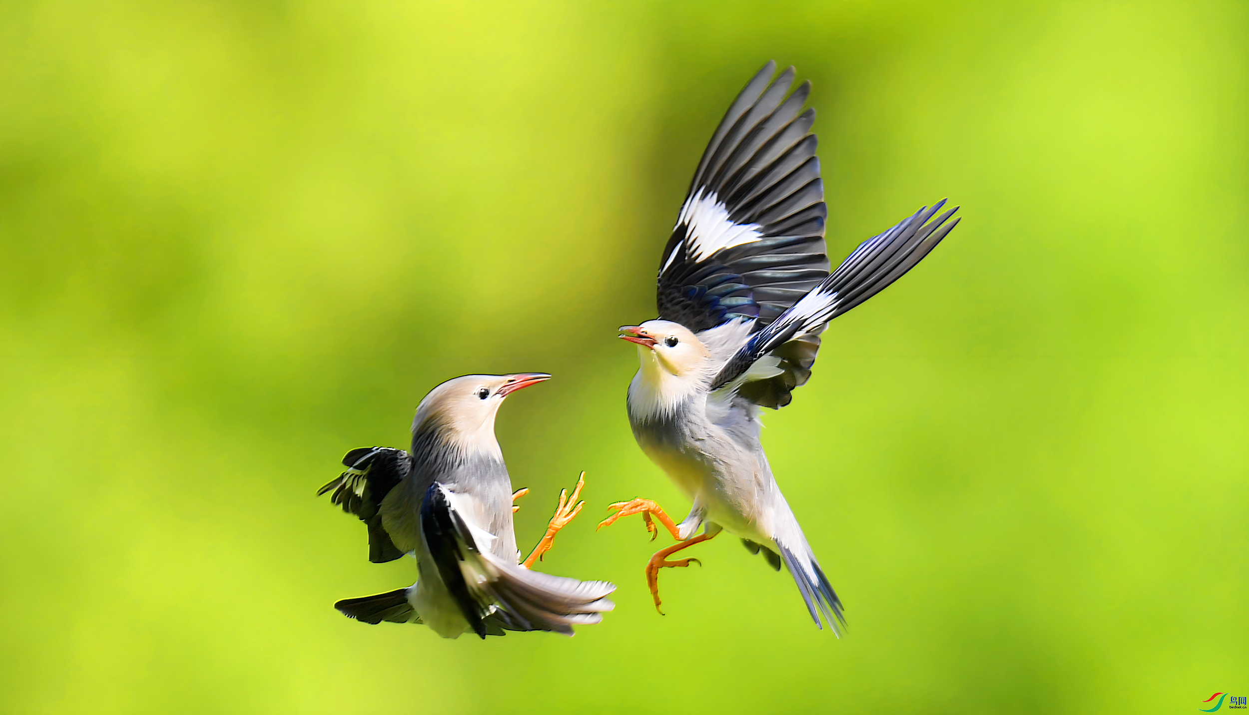 ˿�����  ���� ����뻳 ����.png