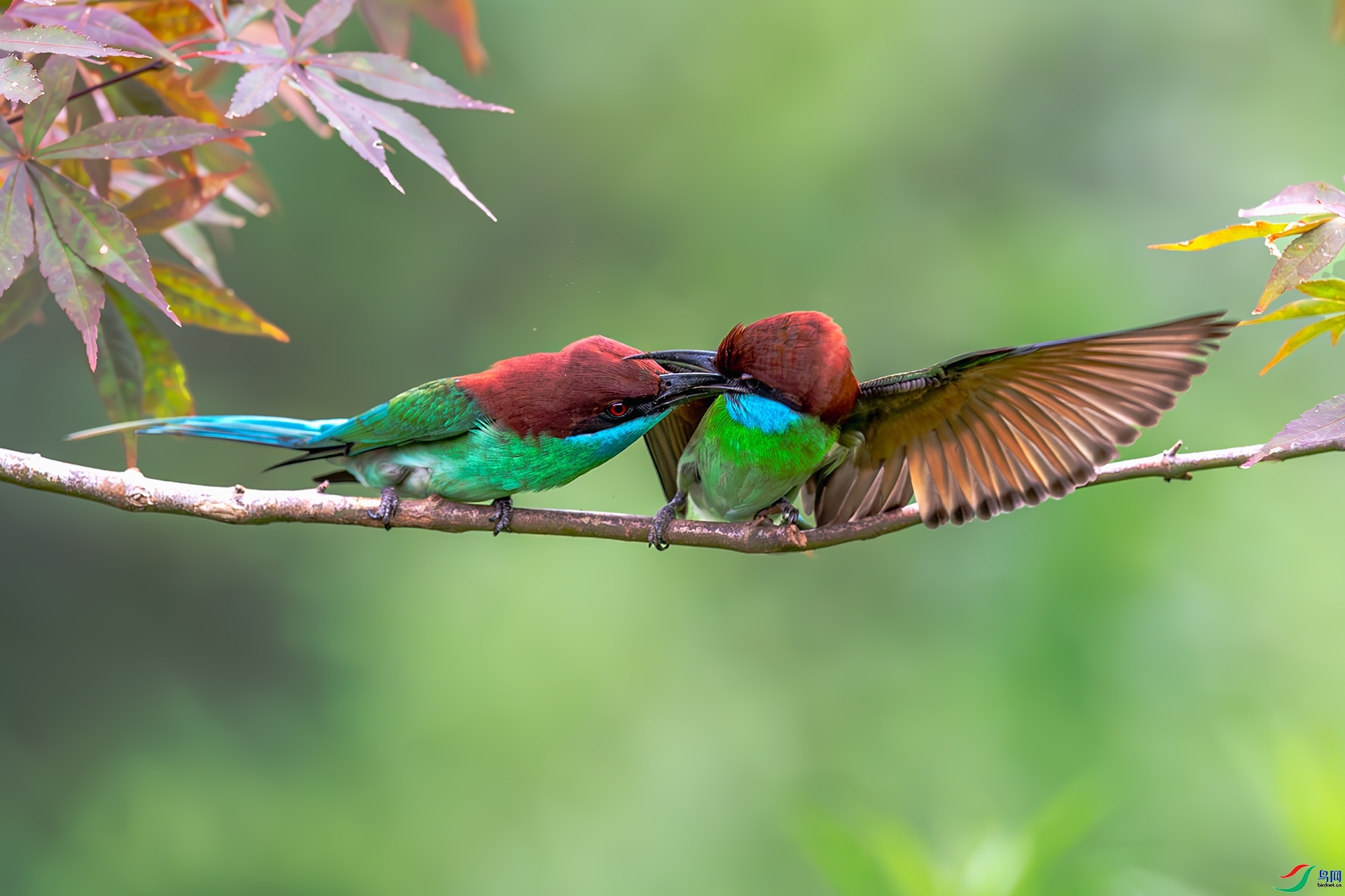 �ѽ��ѷ� ���� ����ǿ ����.jpg