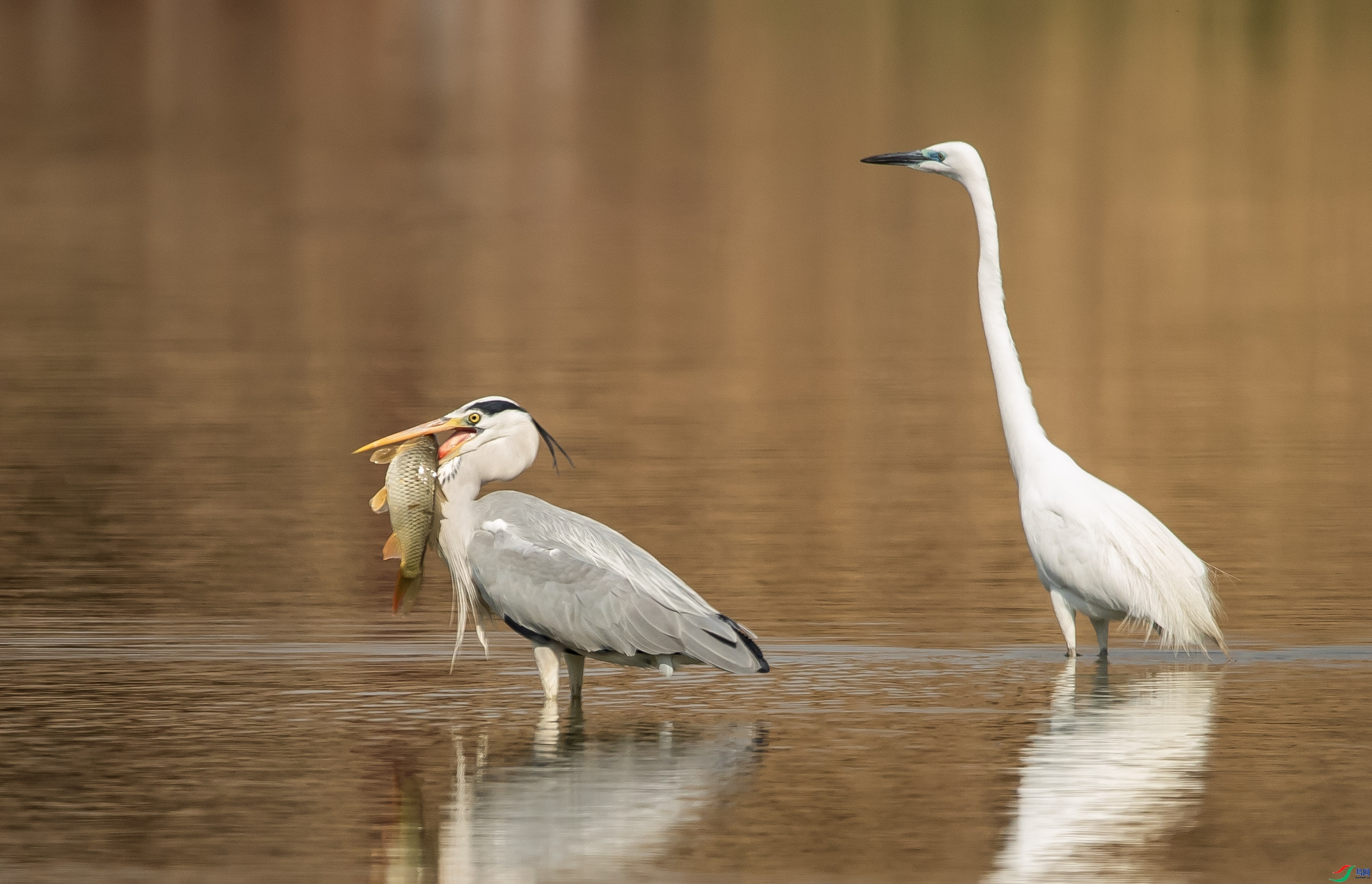 ���˵��  ���� ����.jpg