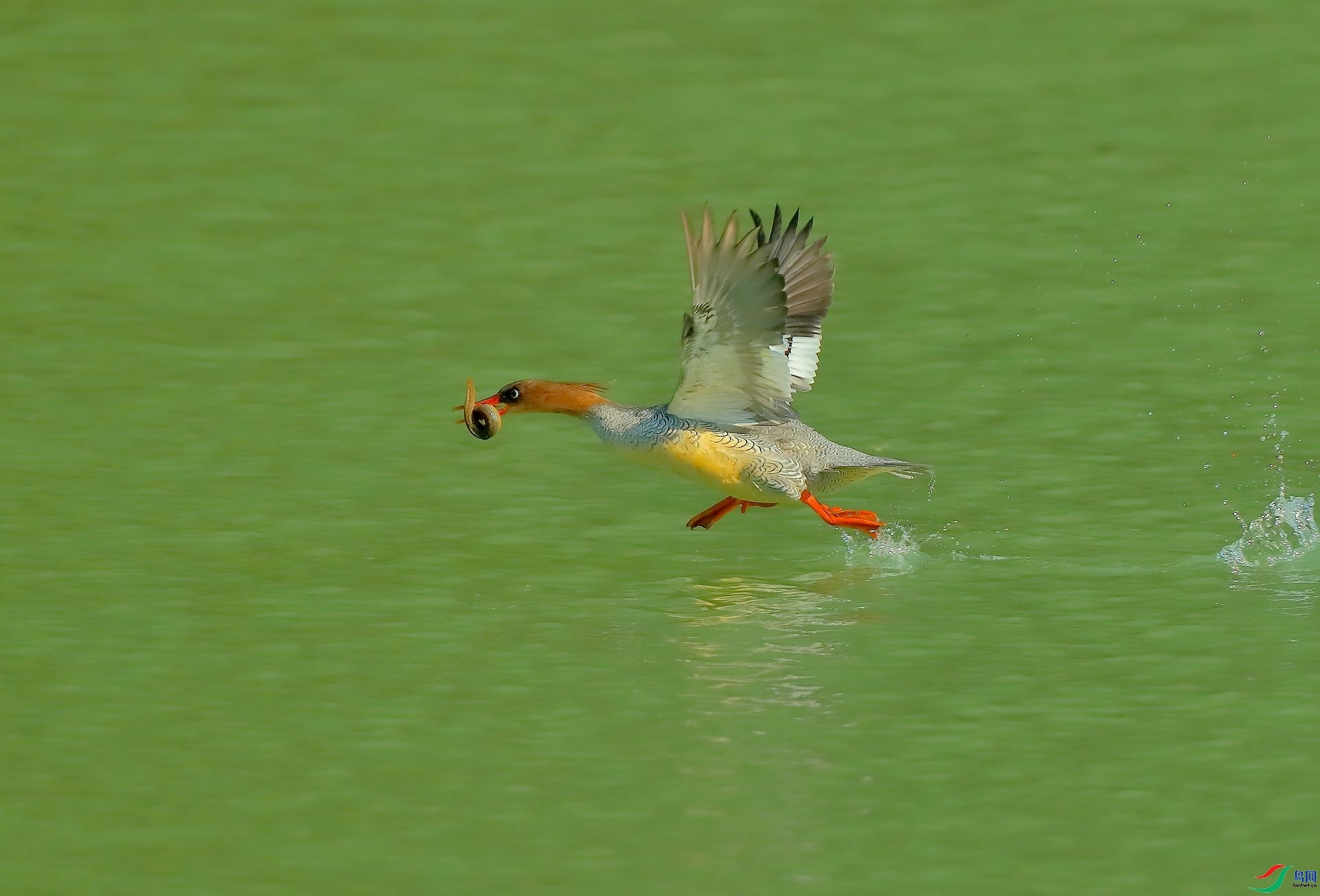 ˮ�Ϸ�  ���� 8341  ����.jpg