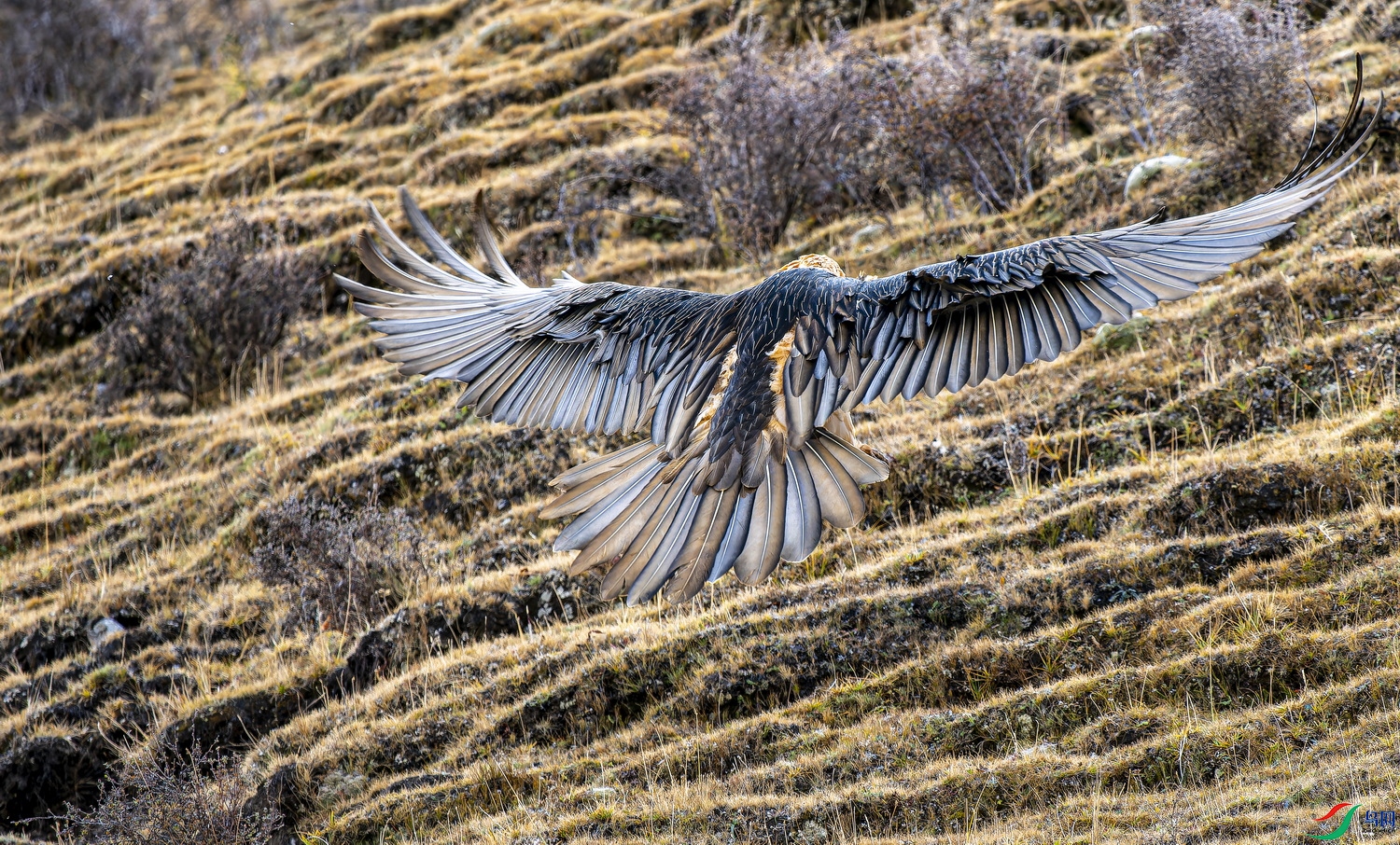 ��أ��  (3)-001.jpg