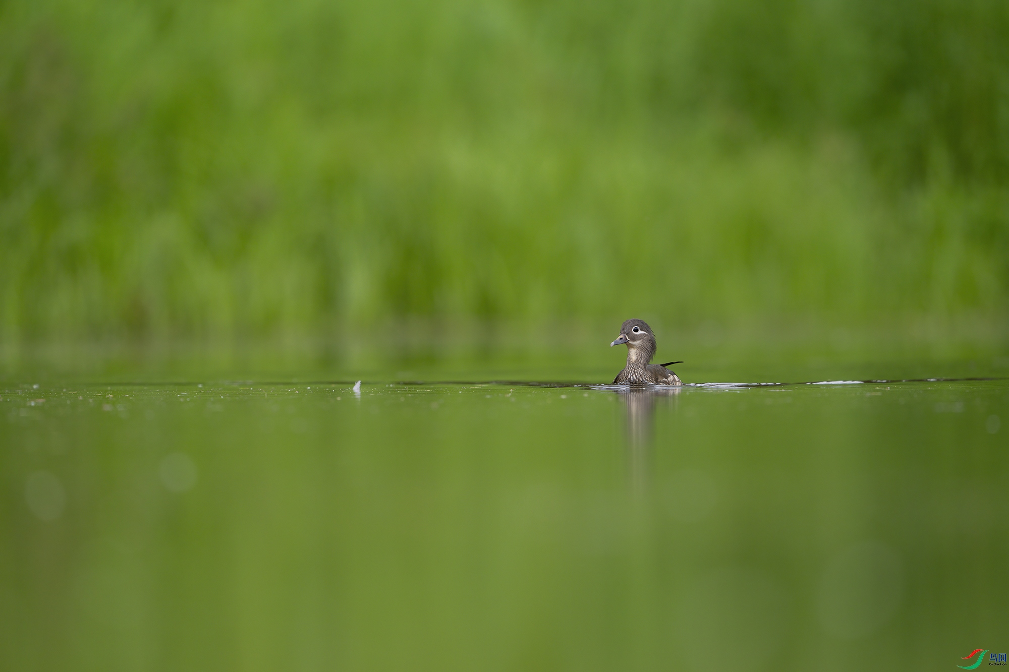 _DSC0040 ���� �� ����.jpg