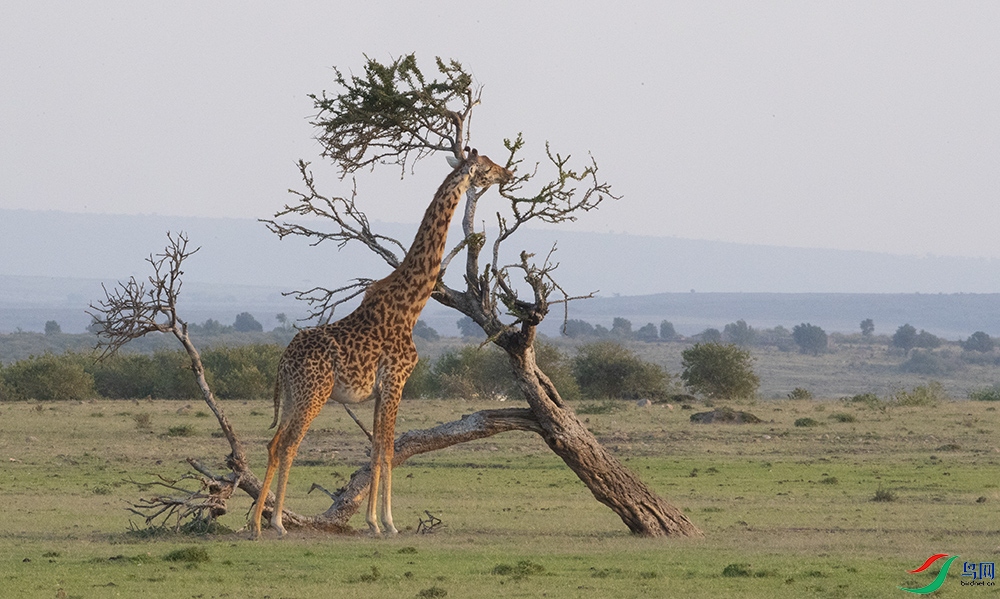 ����¹ (21).jpg