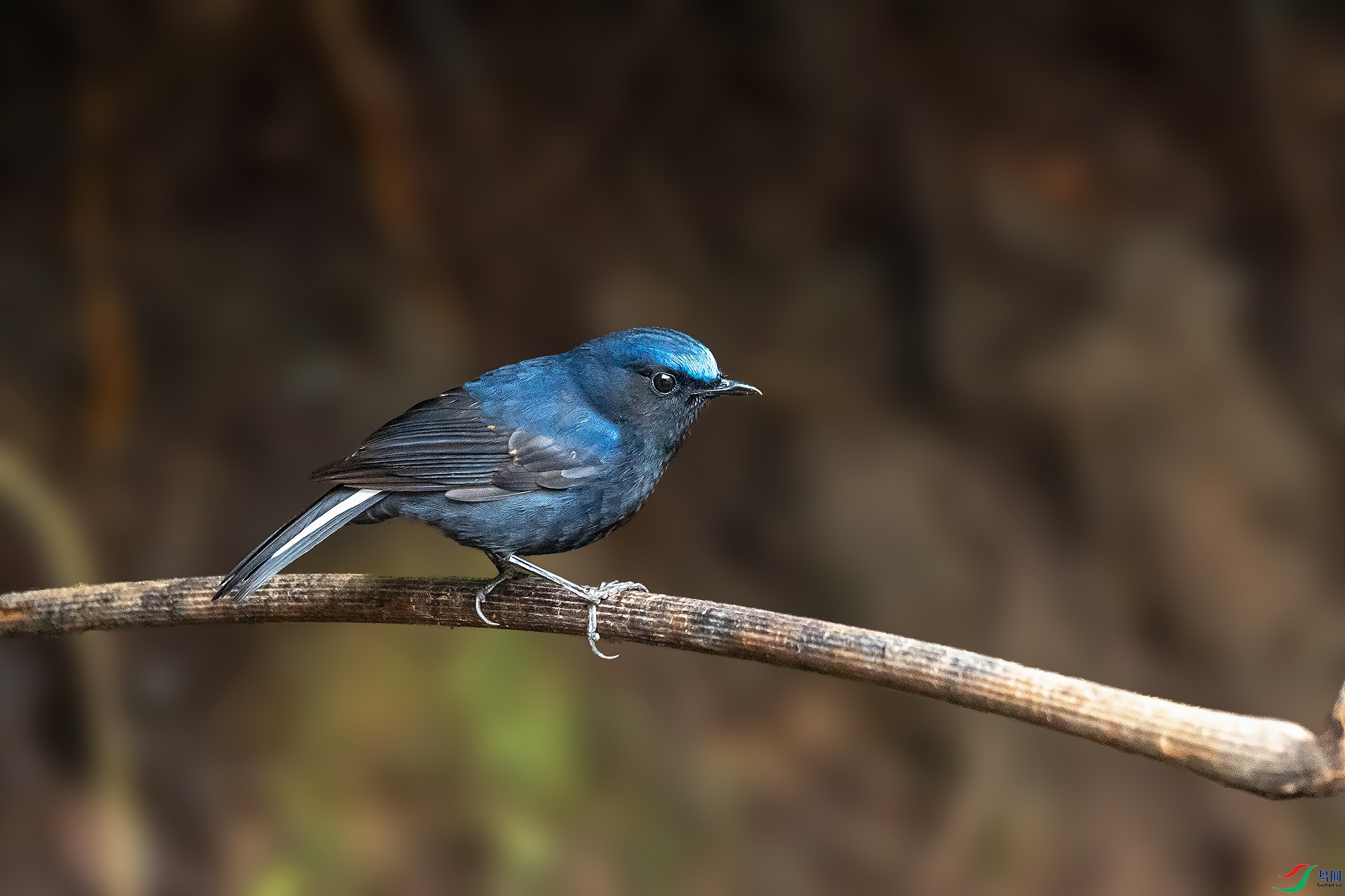 DSC_3011.jpg