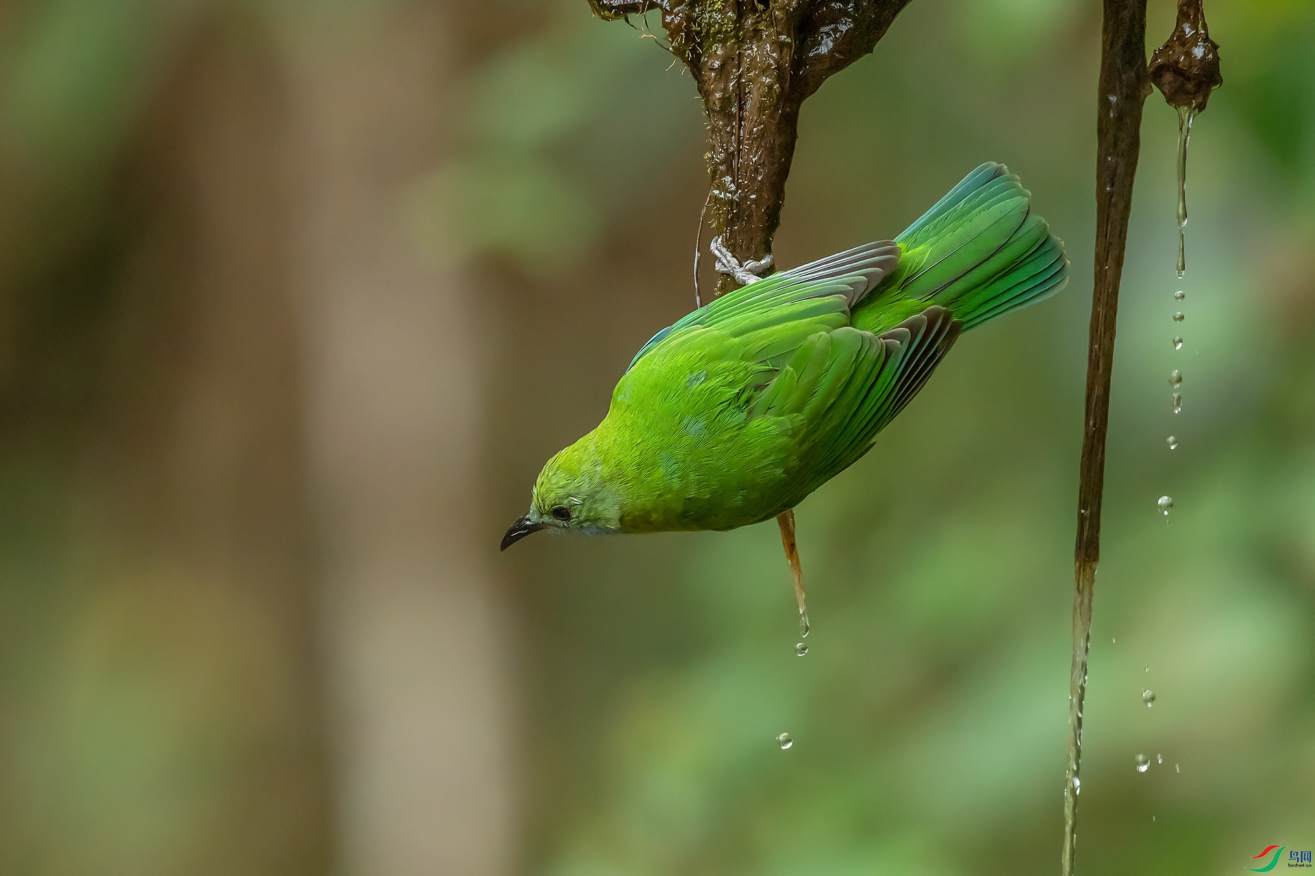 DSC_3706.jpg