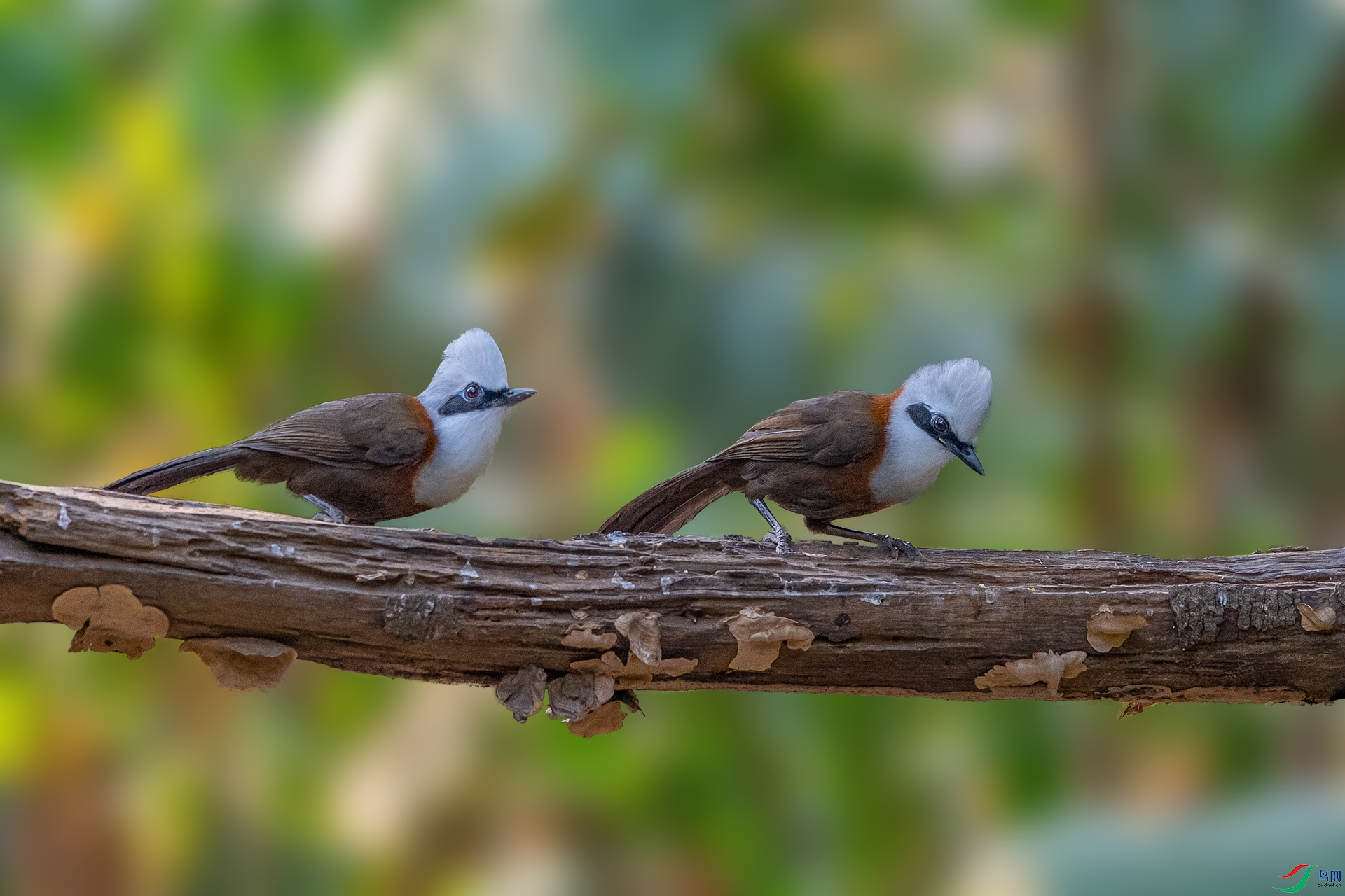 DSC_4476.jpg