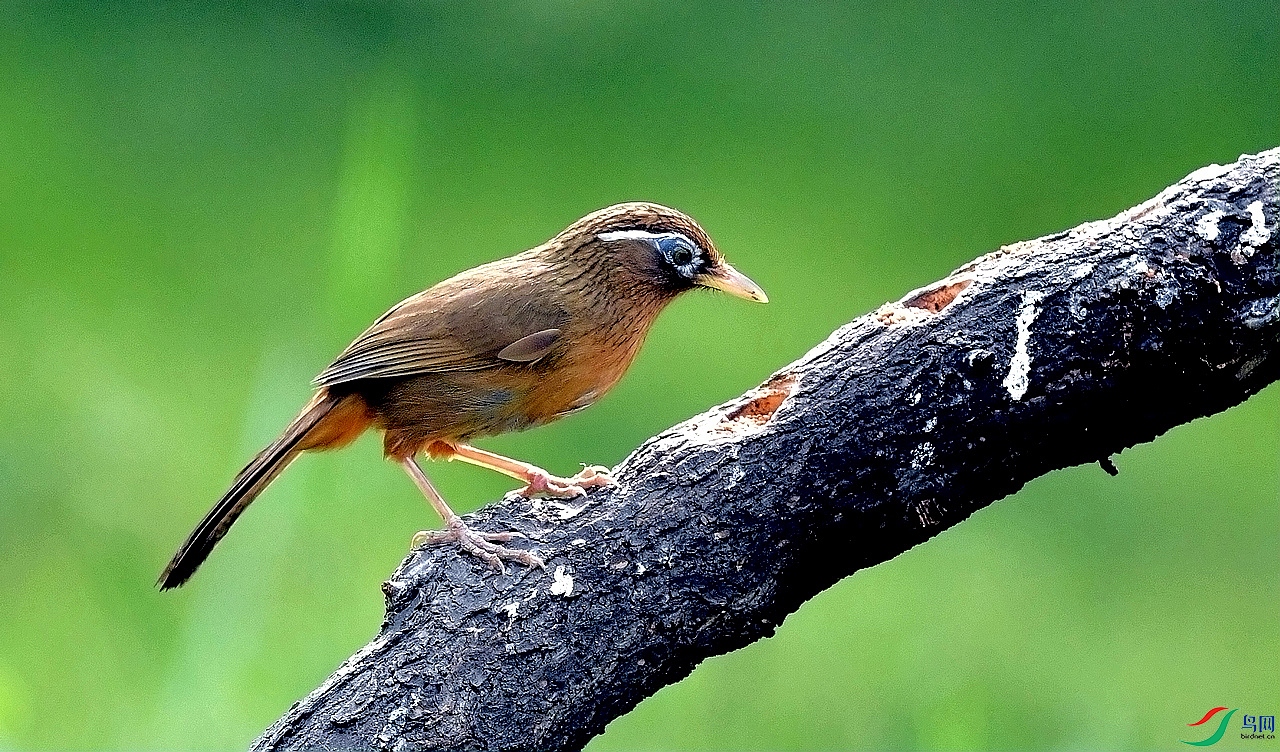 ABW_9319.JPG