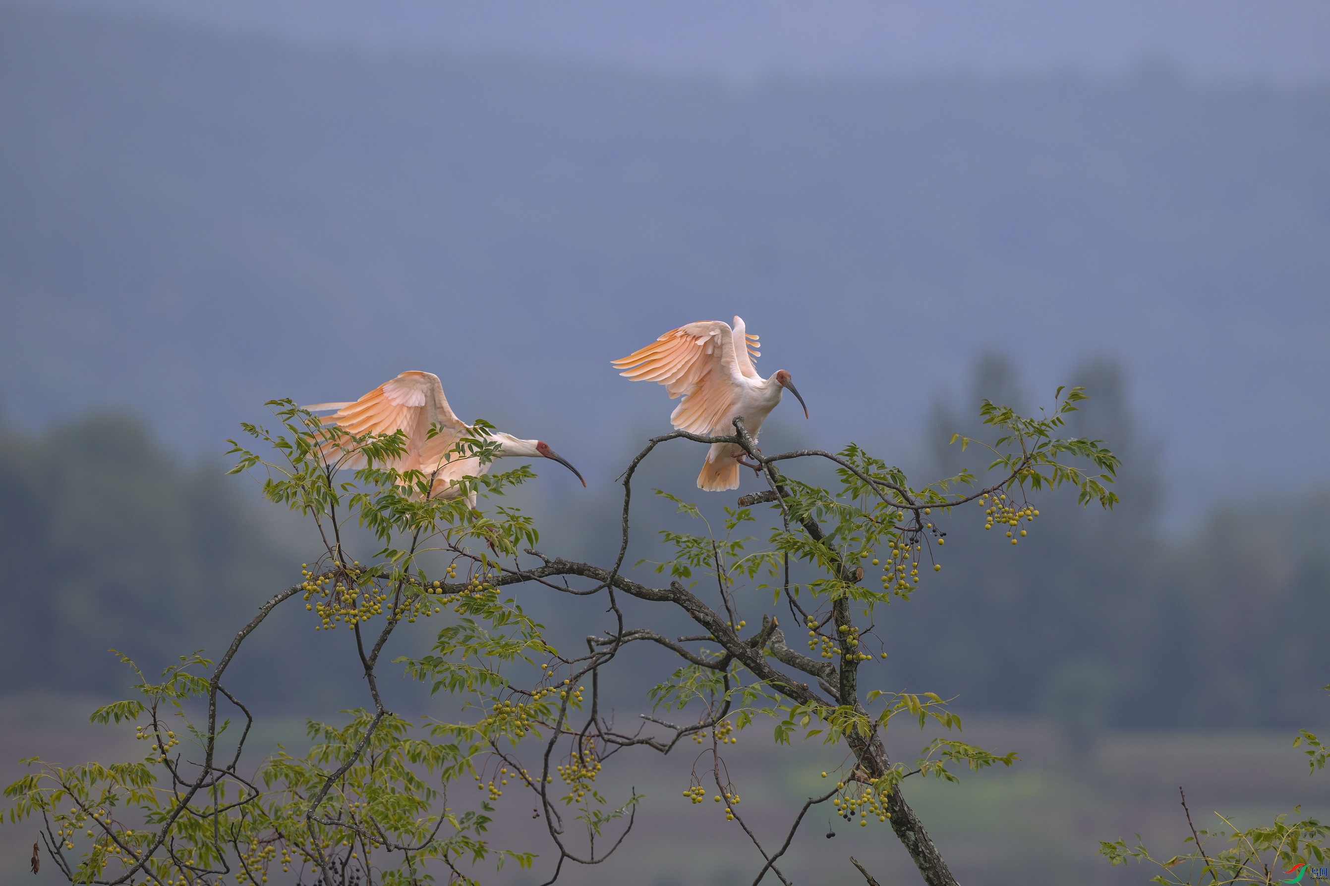 _DSC9985 ����F01.jpg