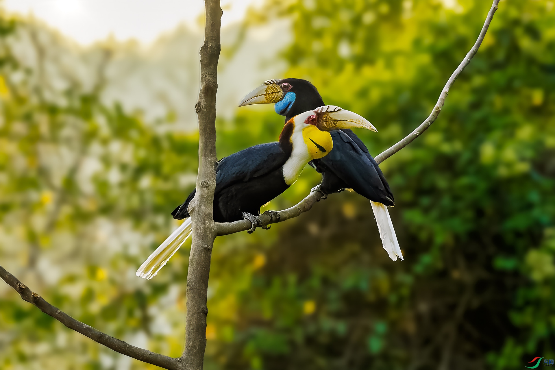 �������Ϭ�����������ĸͬ��