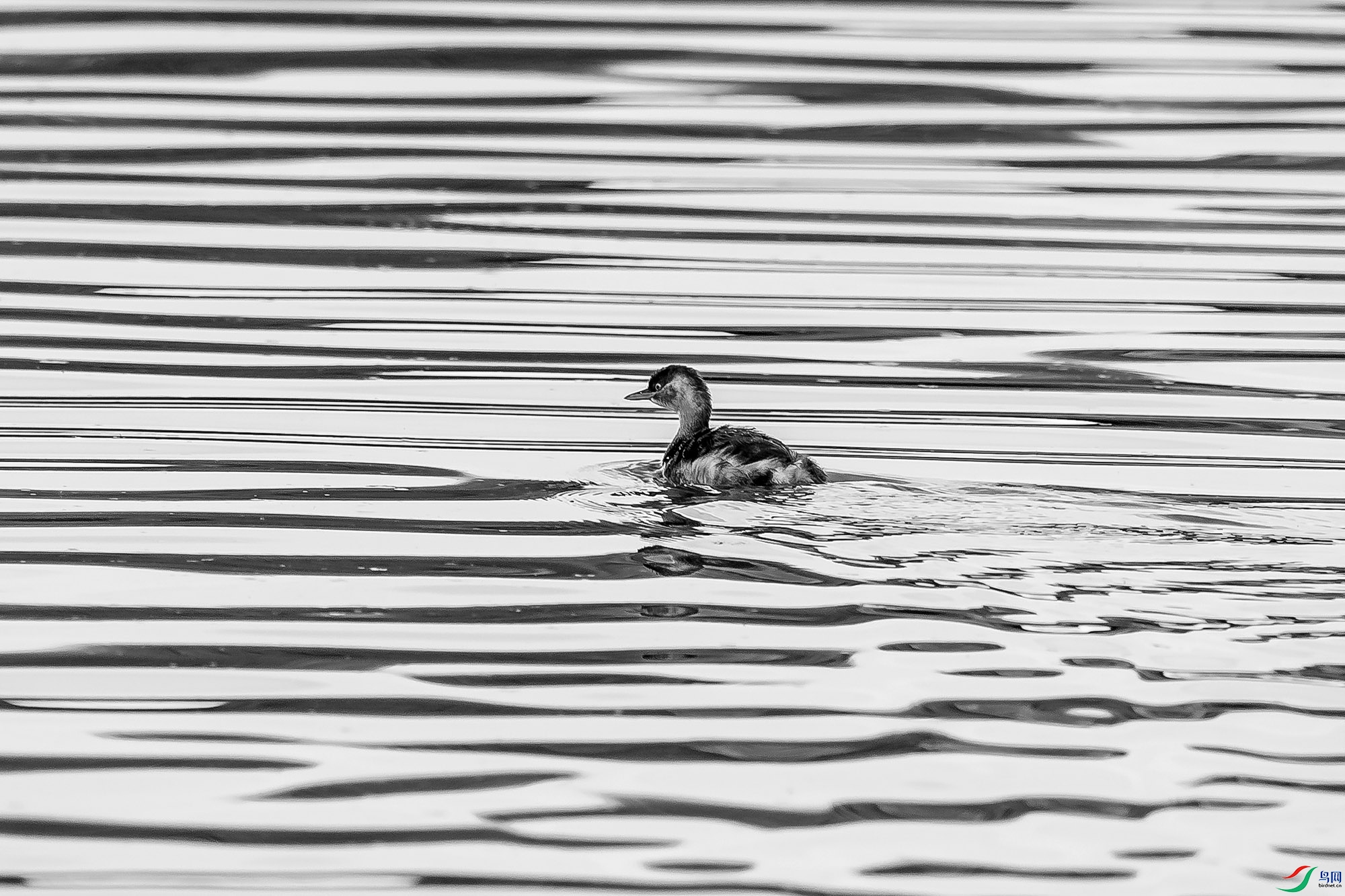 _DSC27290.jpg