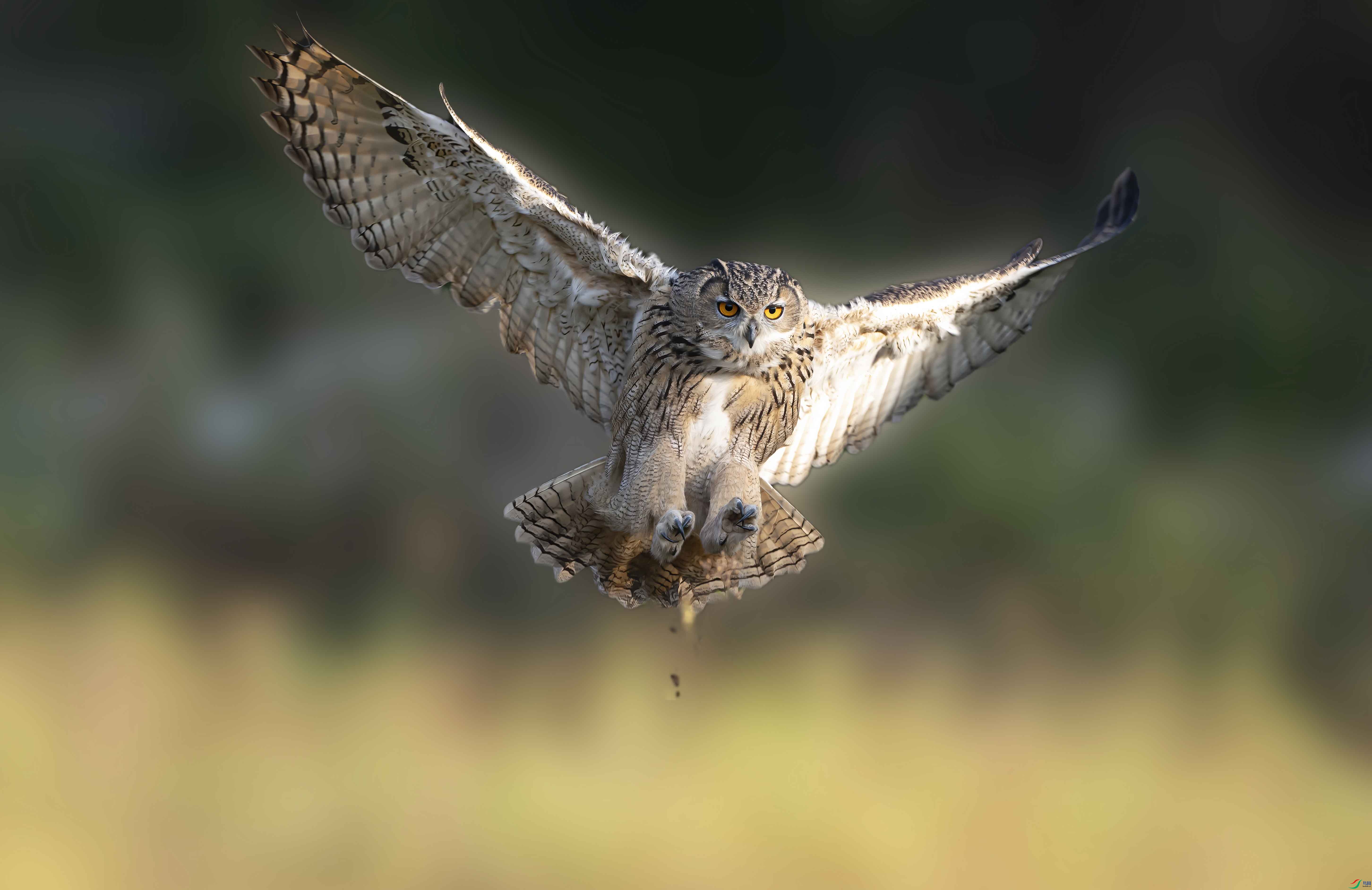 DSC05787 ����.jpg