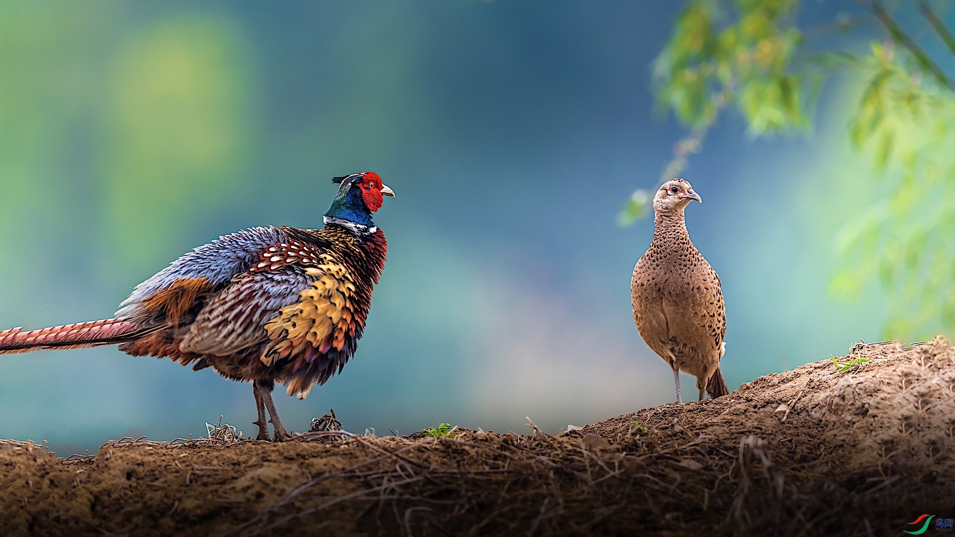 1_XXI3006 ����.jpeg