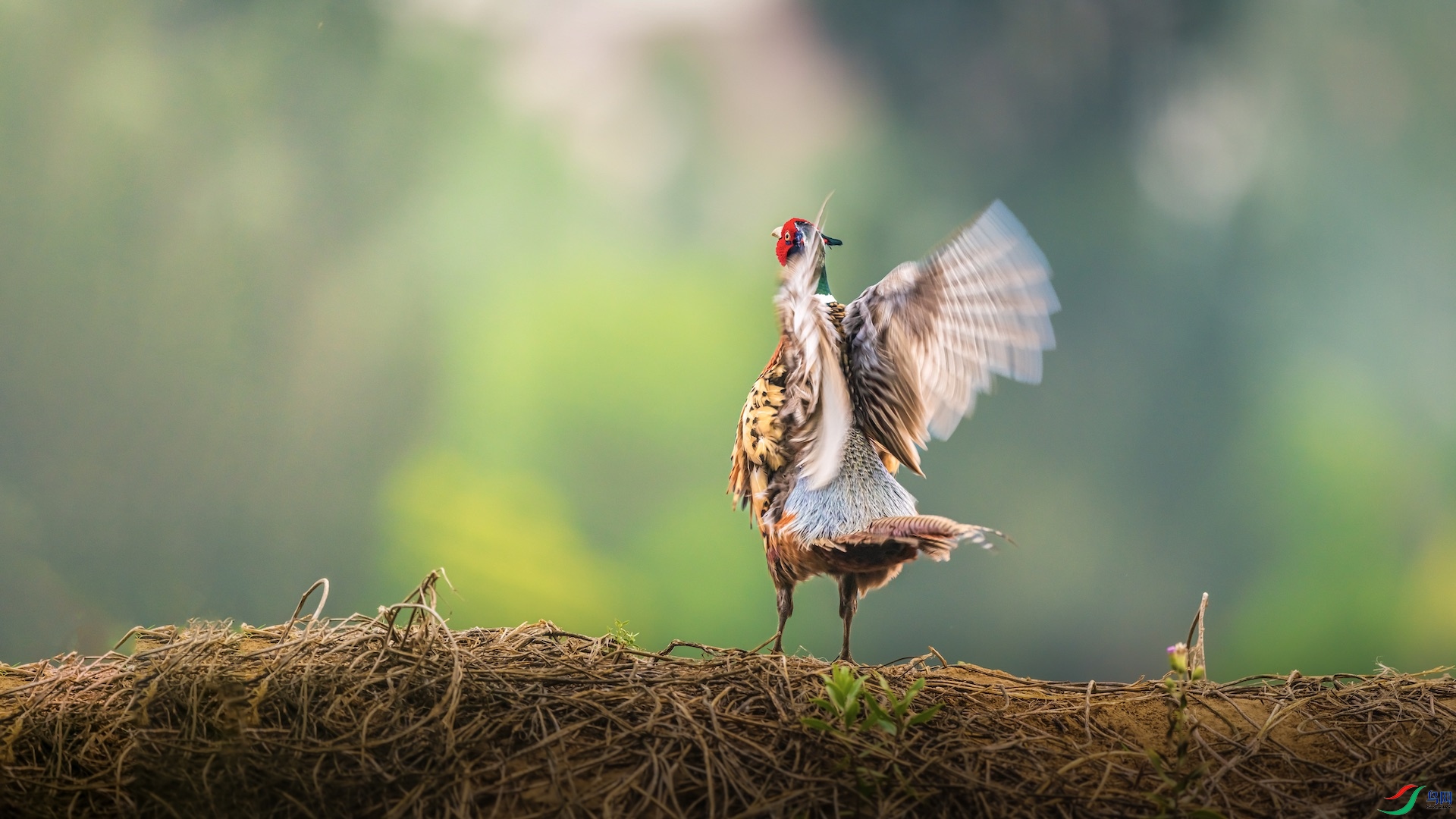 1-1XXI_2625 ����.jpeg