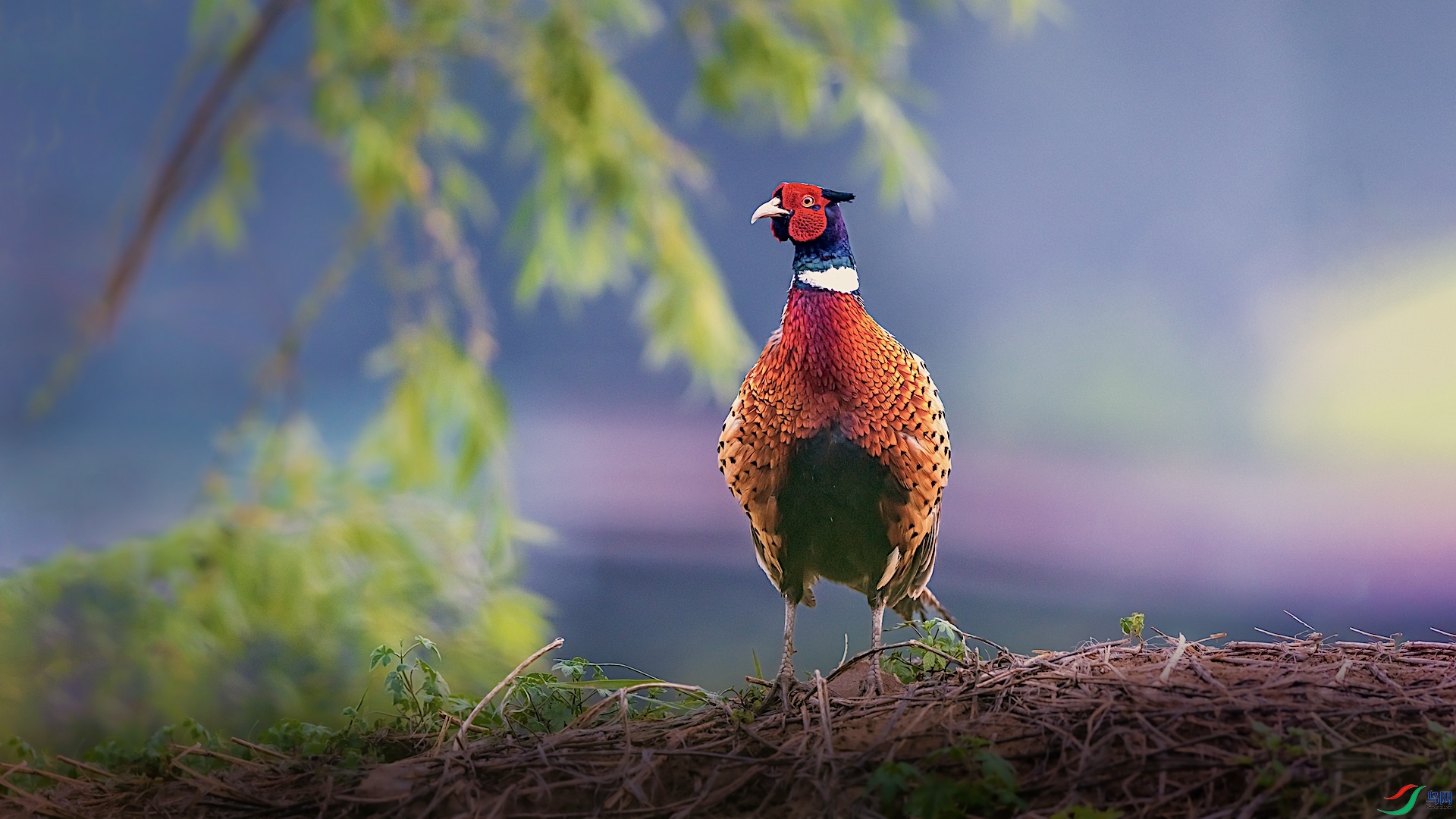 1XXI_2022 ����.jpeg