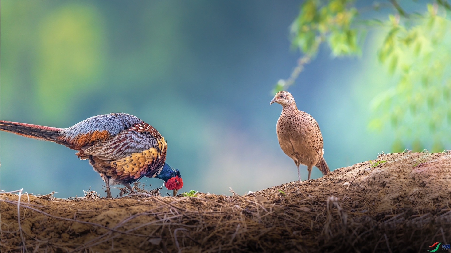 3_XXI3016 ���� 2.jpeg