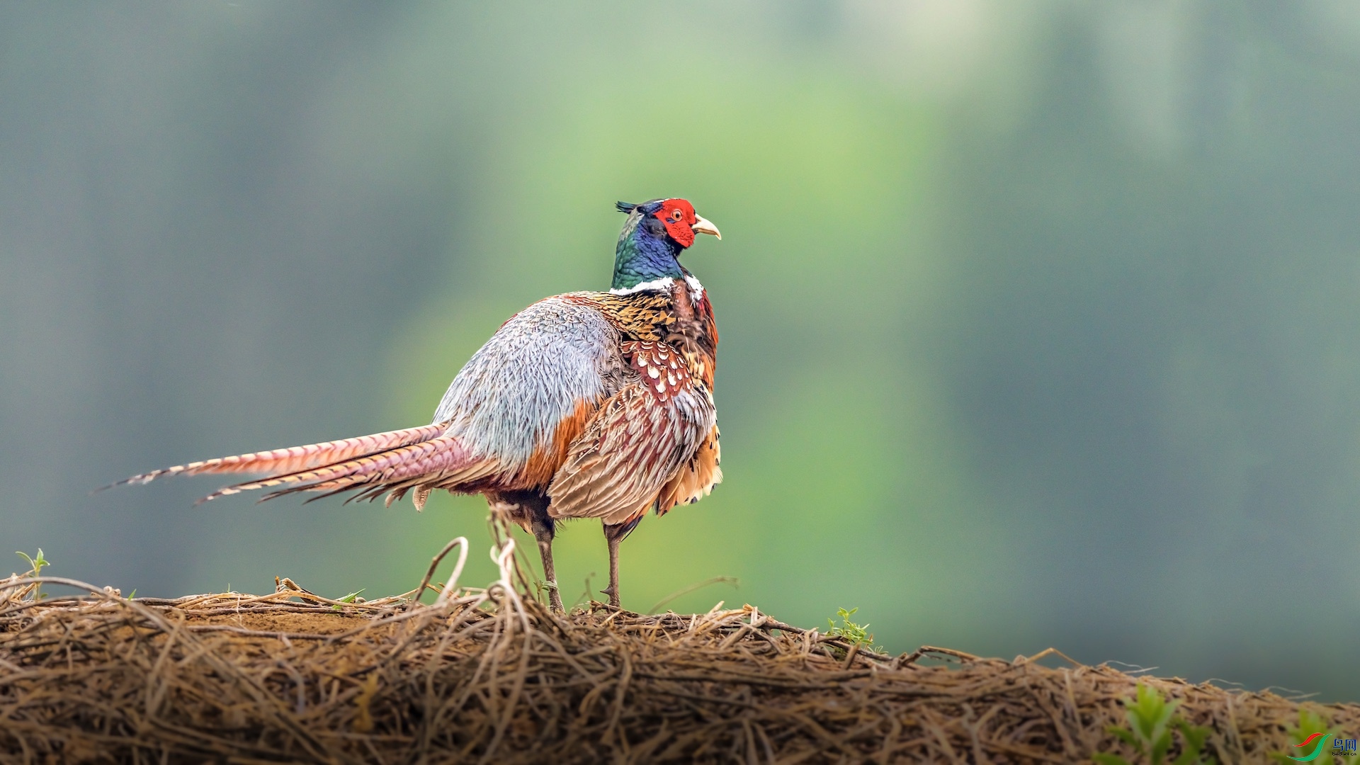 11XXI_2212 ����.jpeg