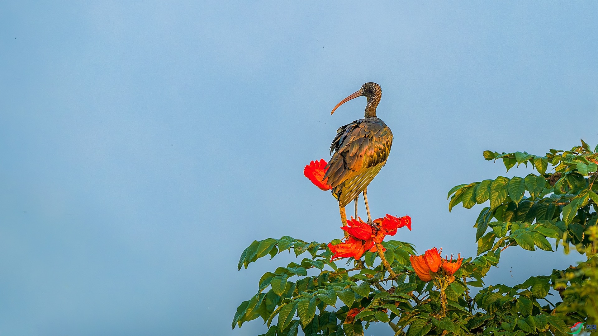 3_XXL6049-����ǿ-NR ����.jpeg