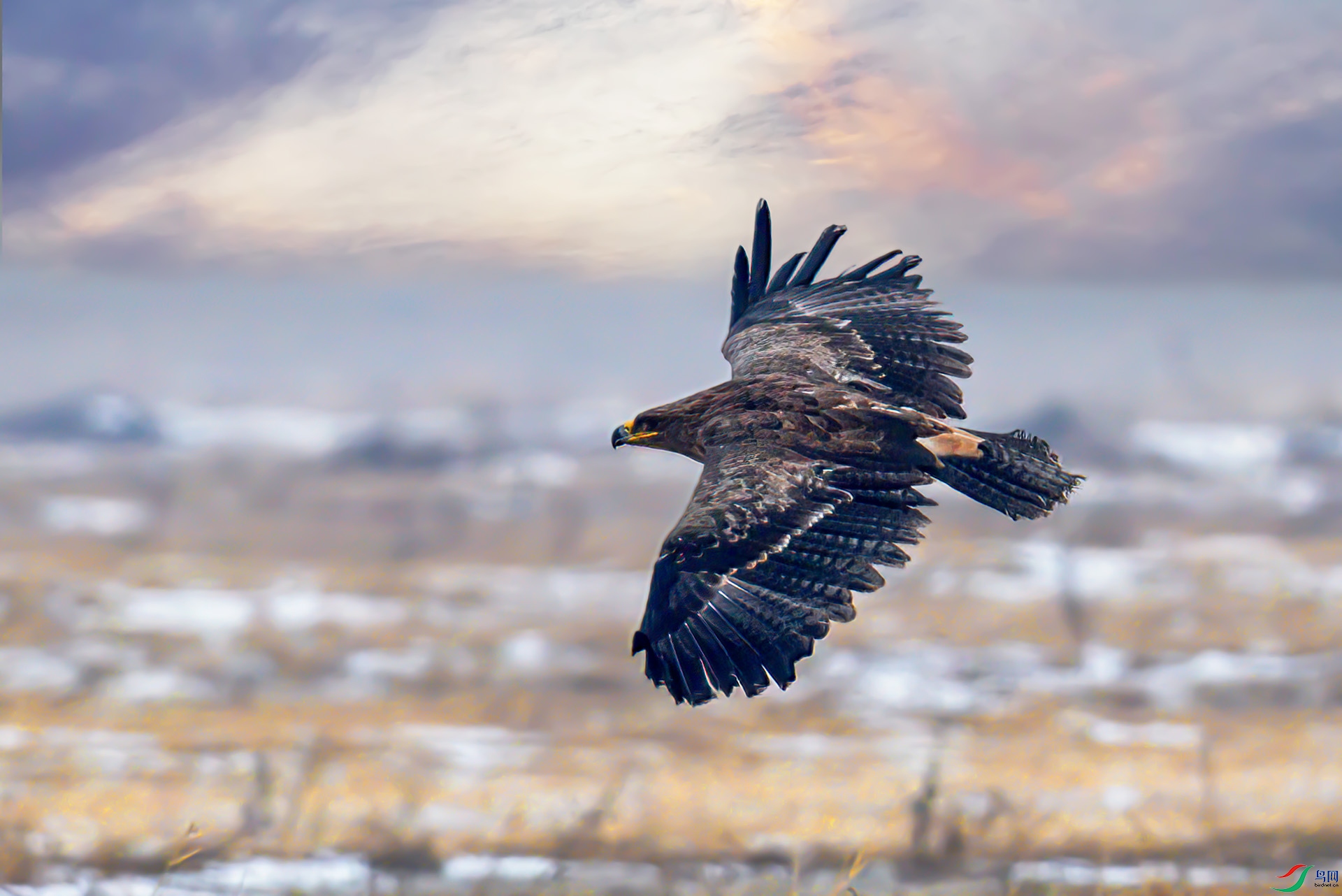 _S7I4977-Sh----0011  .jpg