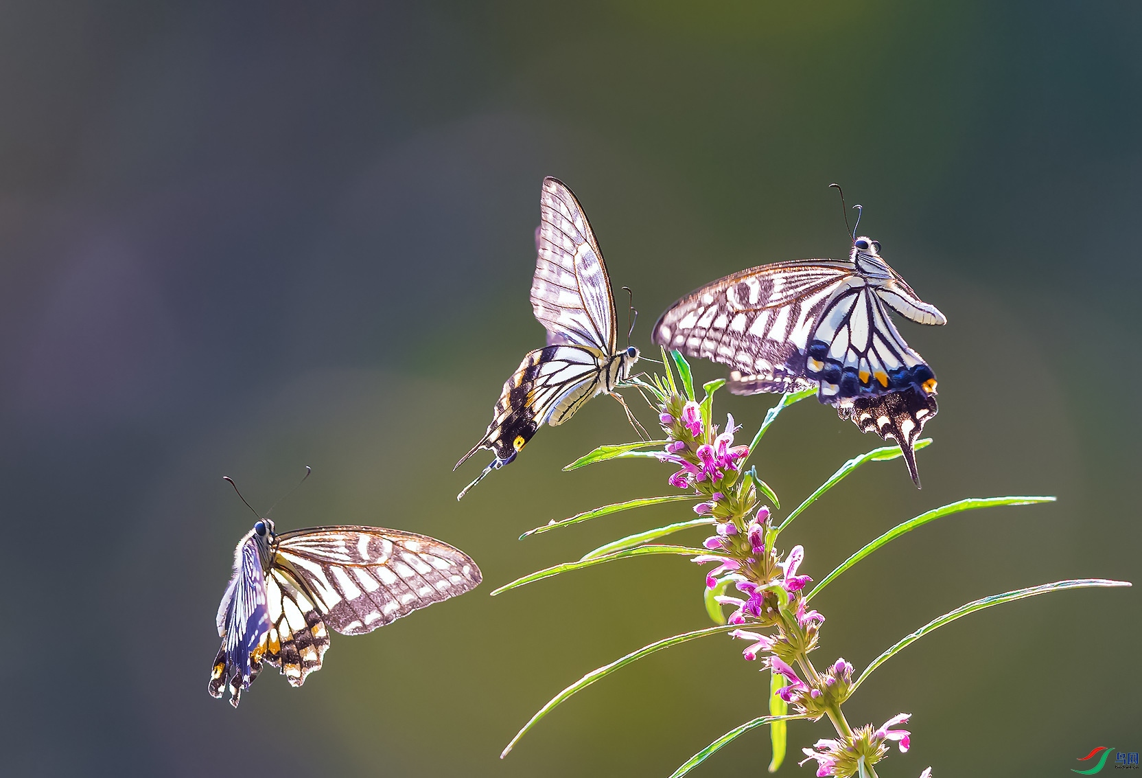 _O1I1025 ����.jpg