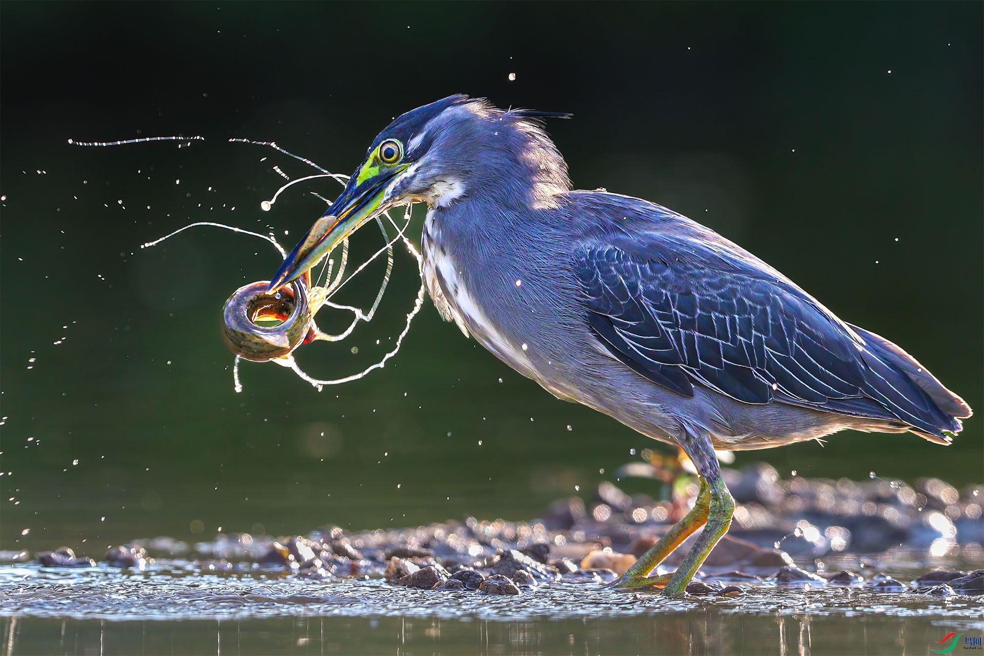 8��3�� (5)-1-1.jpg