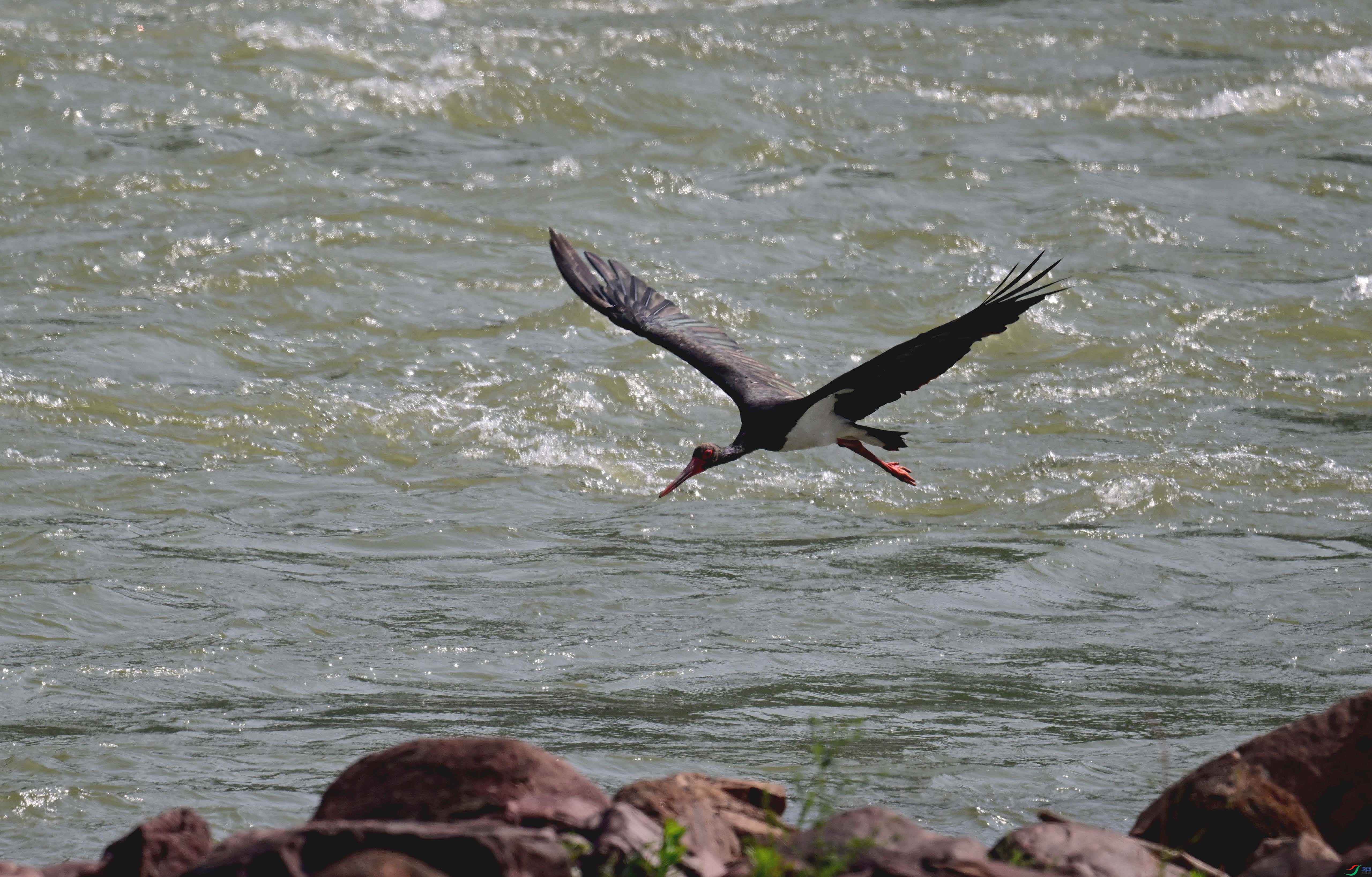 DSC_8210 ���� 2.jpg