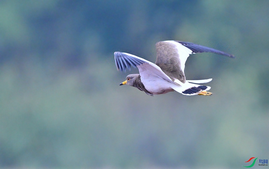 DSC_5046.JPG