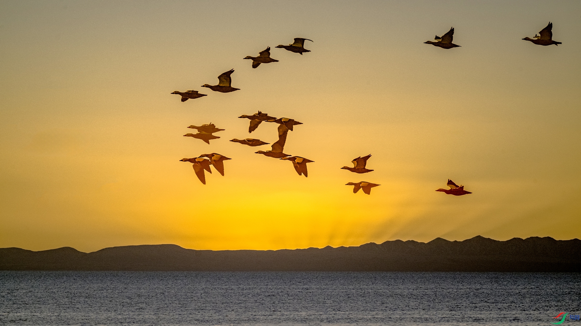 _DSC6431 ����_����.jpg