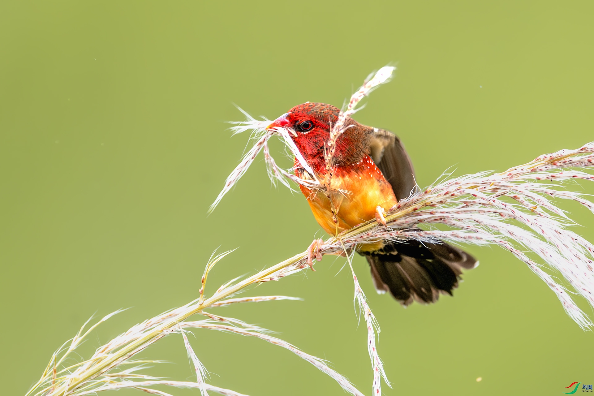 _XGQ0507-1����ǿ-NR ����.jpg