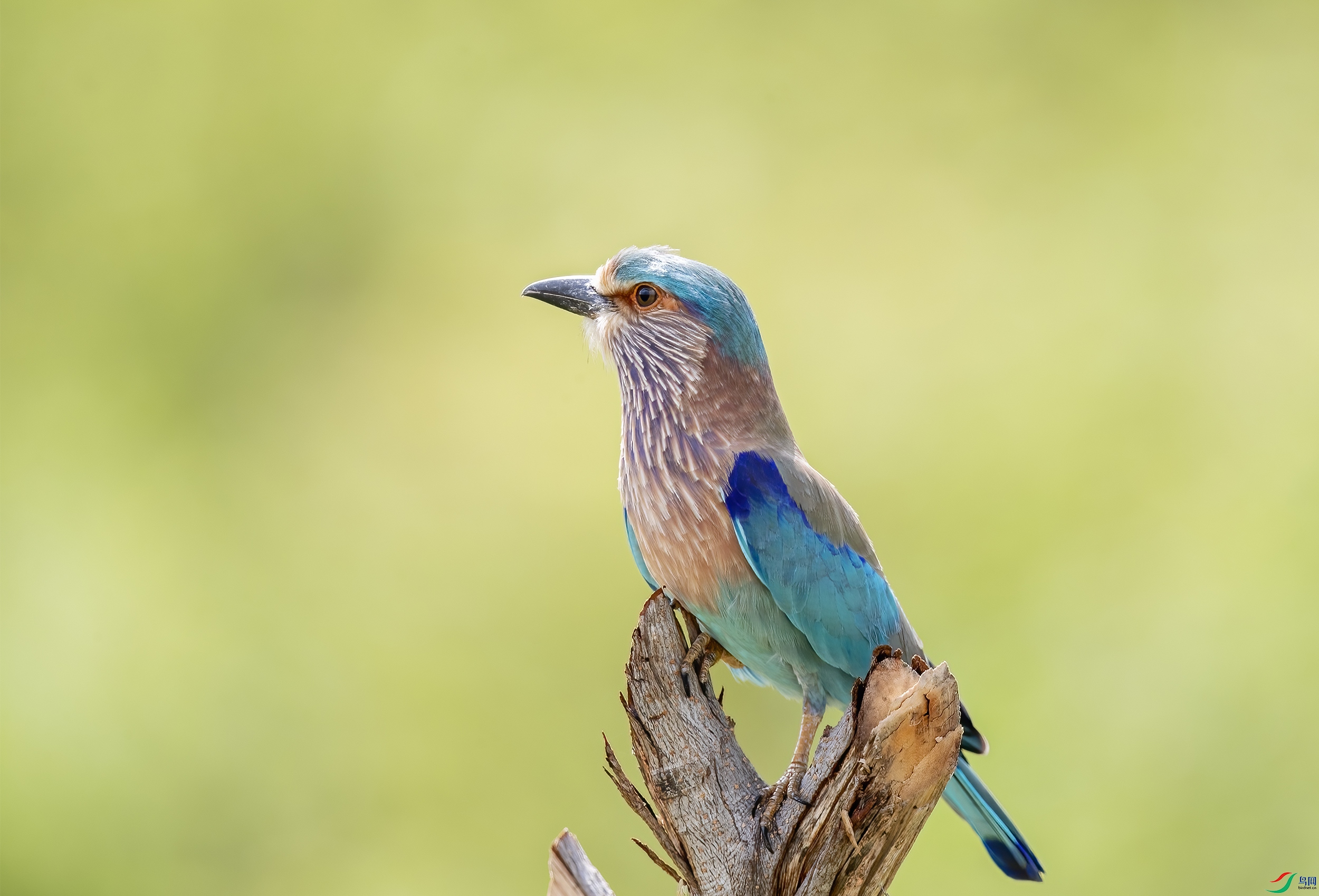 AC3I4160 ����.jpg