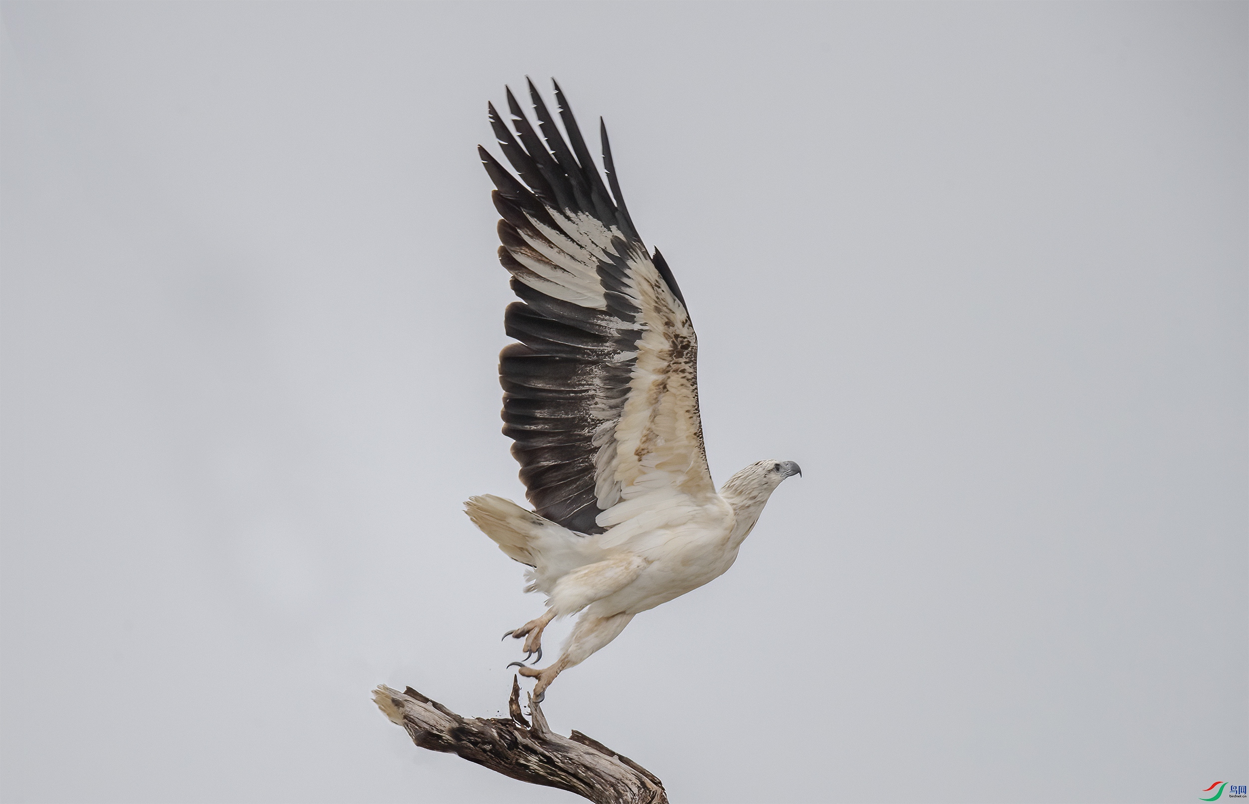 AC3I6495 ����.jpg