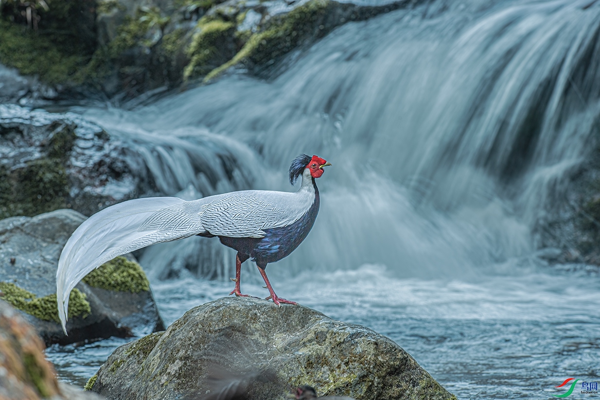 DSC_1222 ����00.jpg