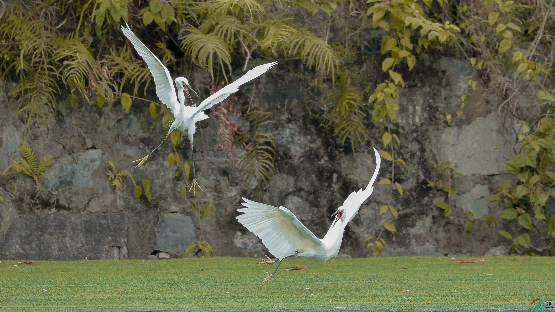 �������Ƕ�3