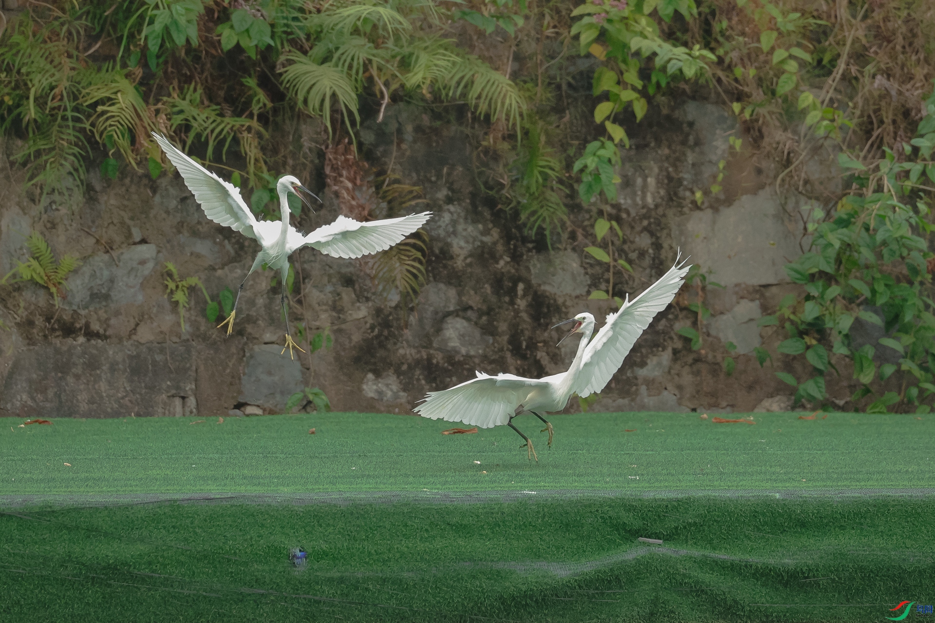 �������Ƕ�2