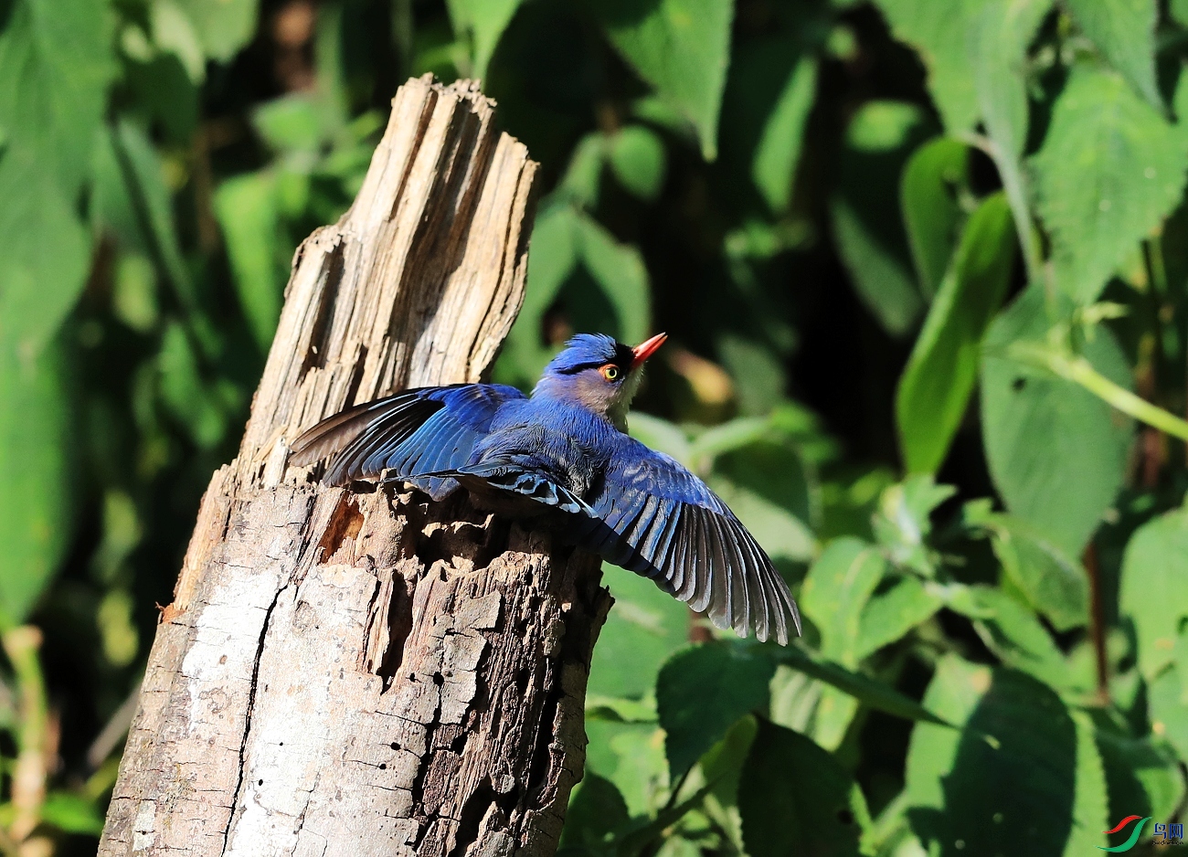 ���� AI0I1795.JPG