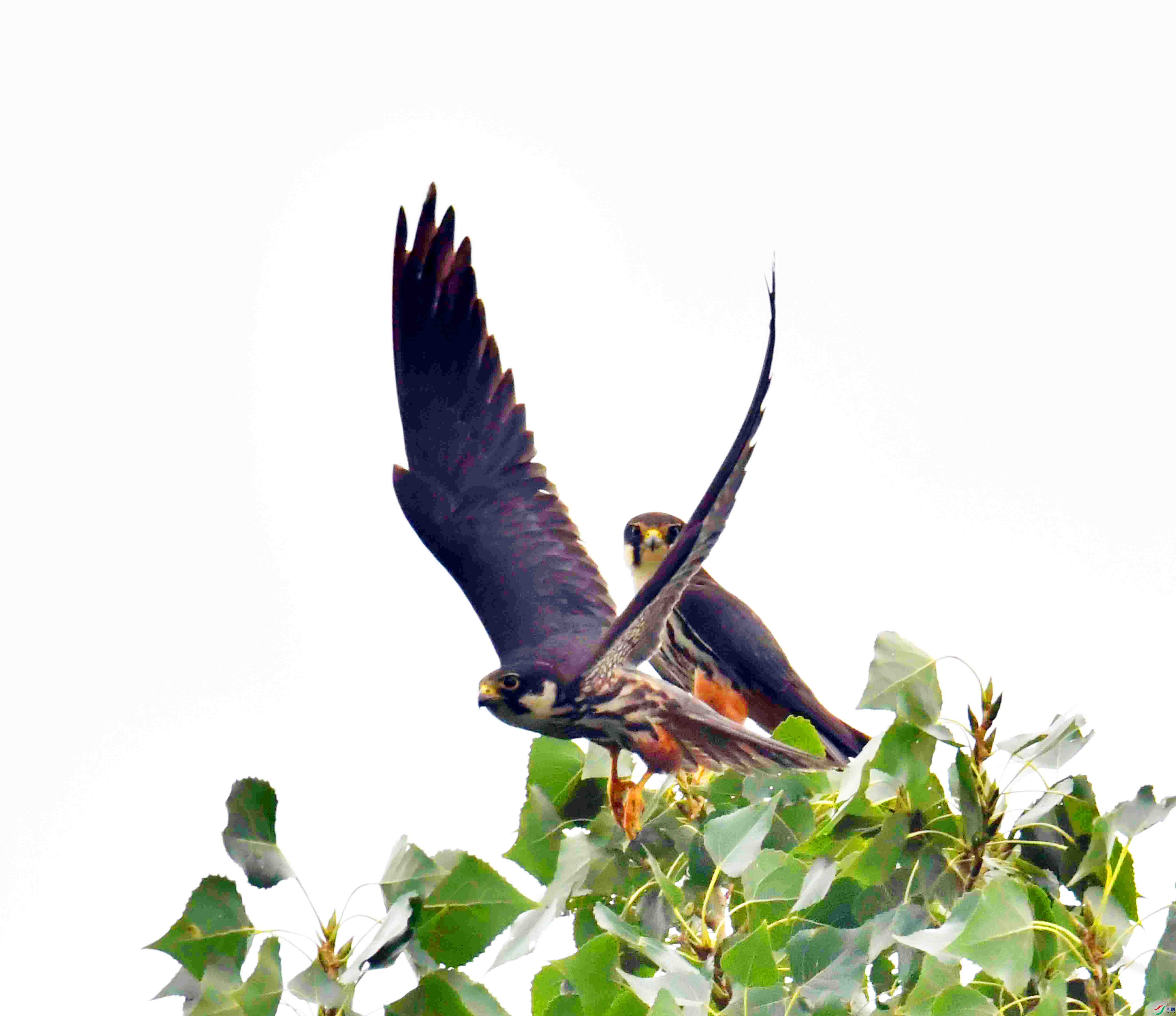 DSC_5767.JPG